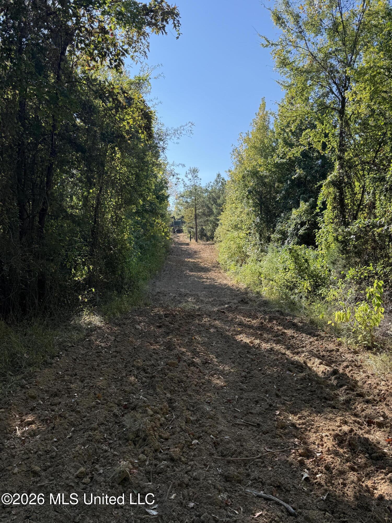 Old 51 Road Property Photo 20