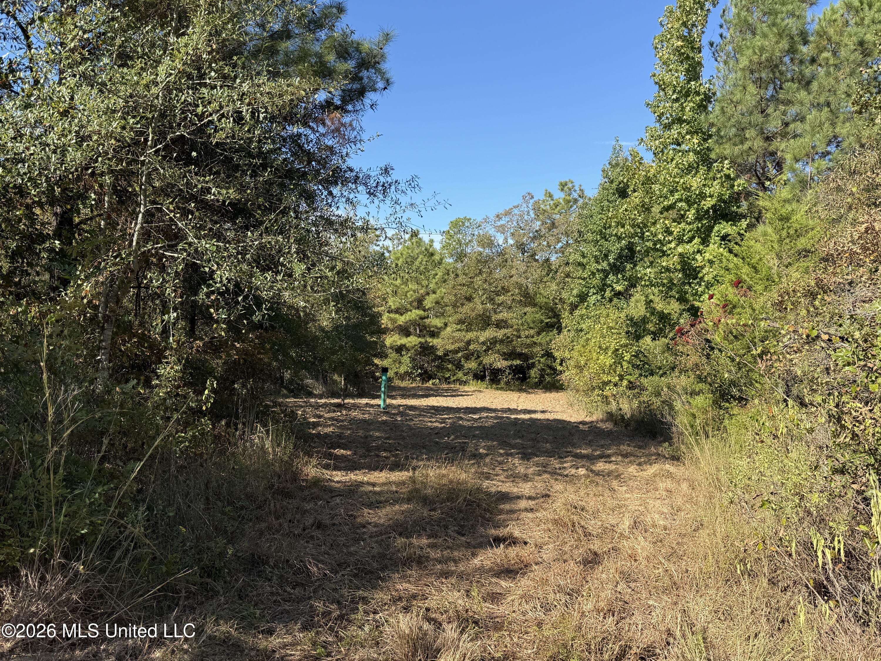 Old 51 Road Property Photo 21