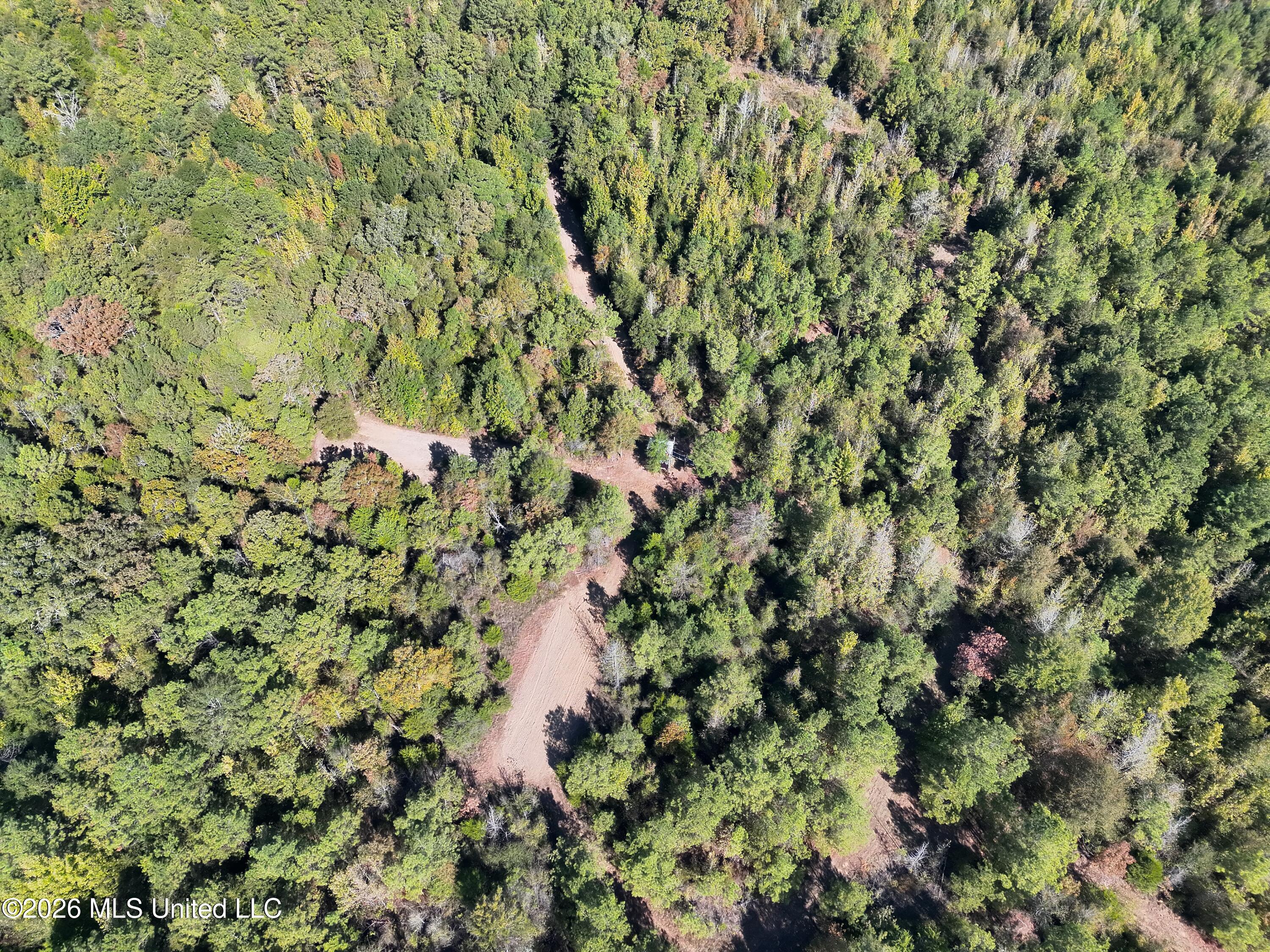 Old 51 Road Property Photo 28