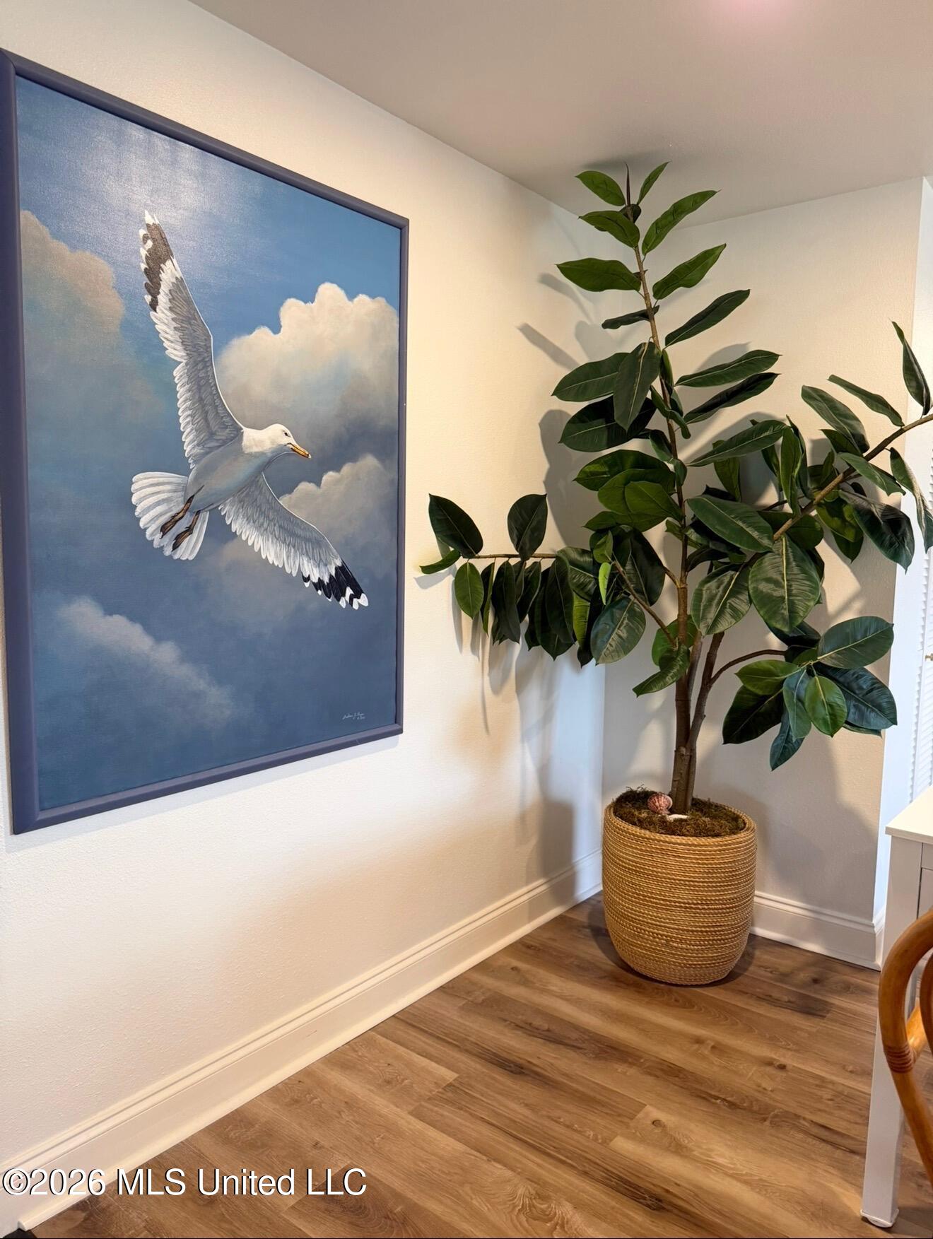 253 Market Street Property Photo 8