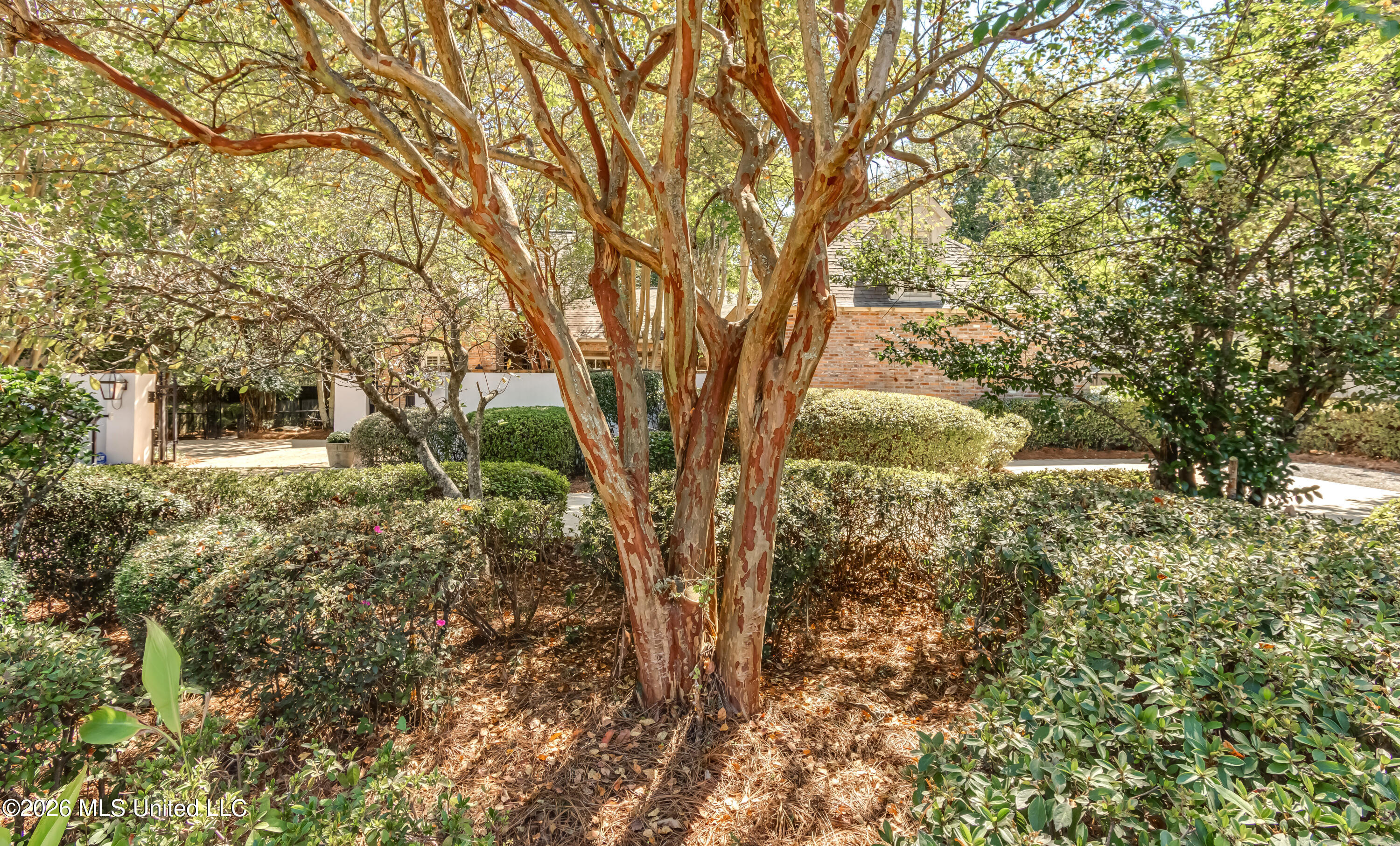 1353 E Northside Drive Property Photo 65