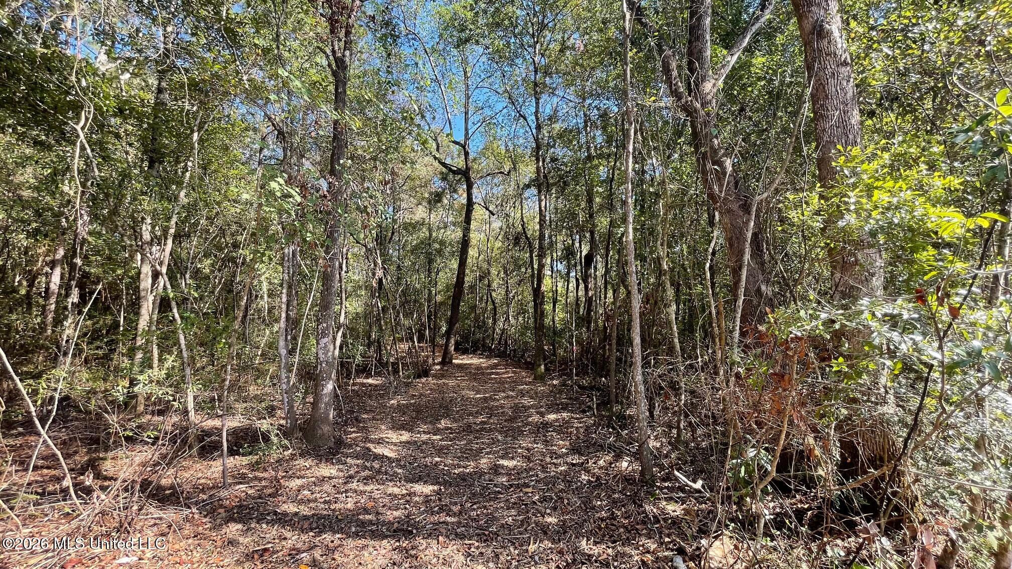 Old Hwy 49 Property Photo 3