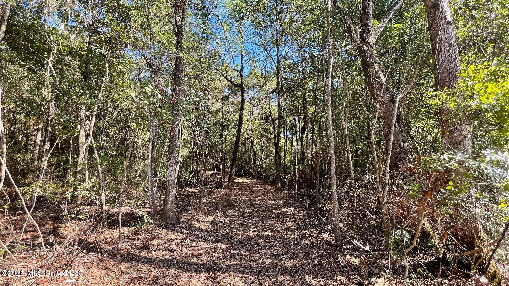 Old Hwy 49 Property Photo 4