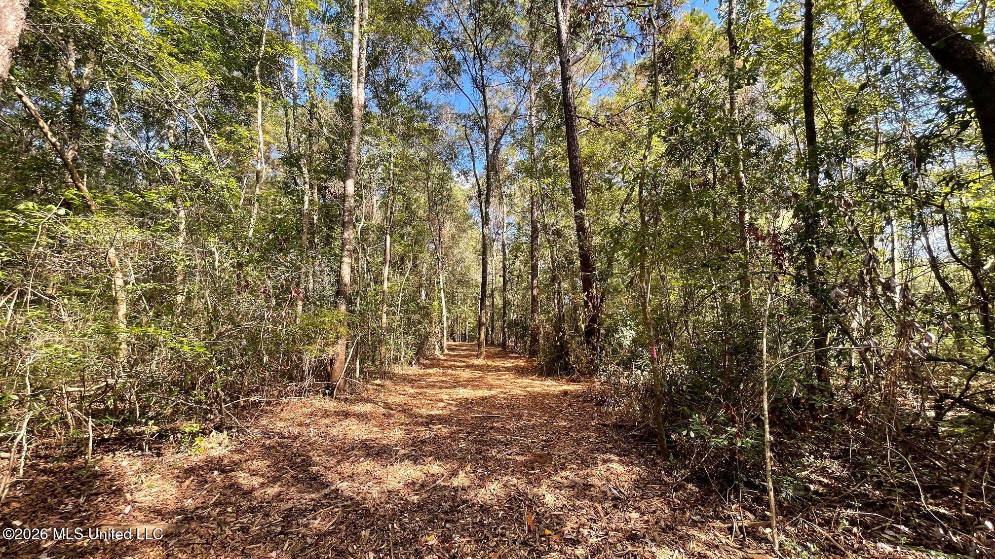 Old Hwy 49 Property Photo 5