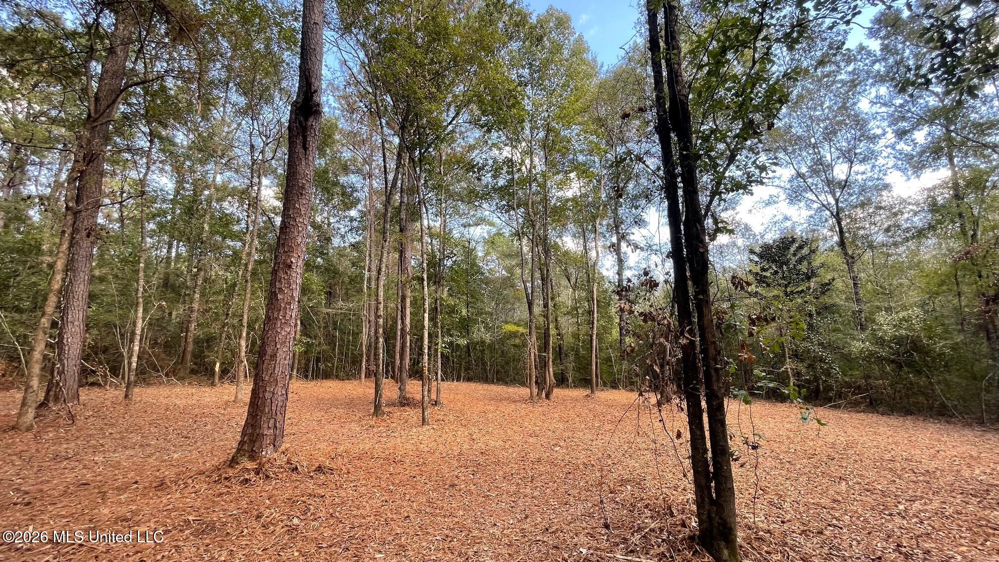 Old Hwy 49 Property Photo 6
