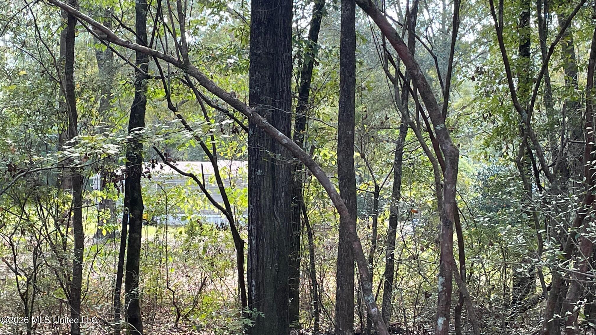 Old Hwy 49 Property Photo 7
