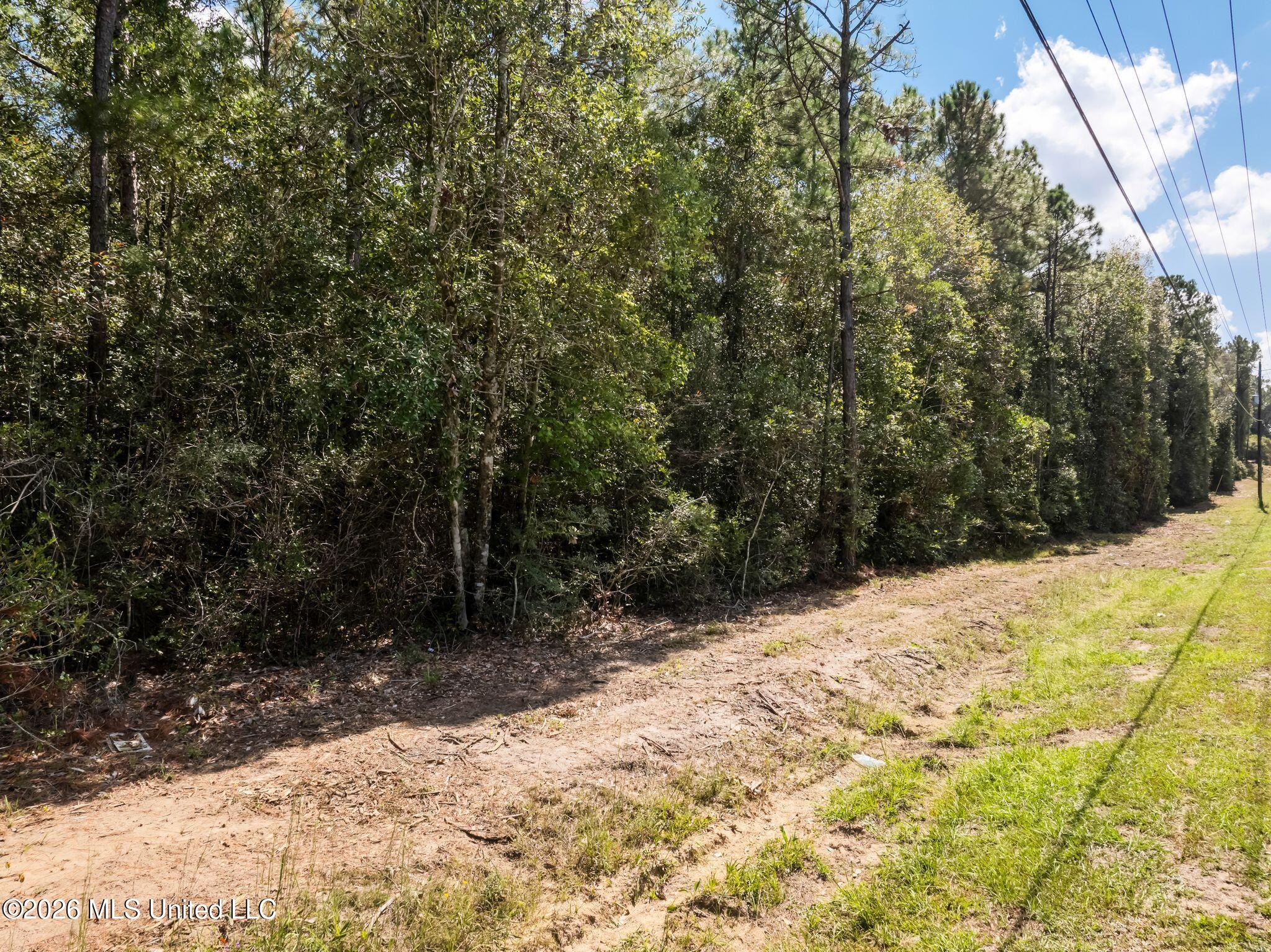 Old Hwy 49 Property Photo 9