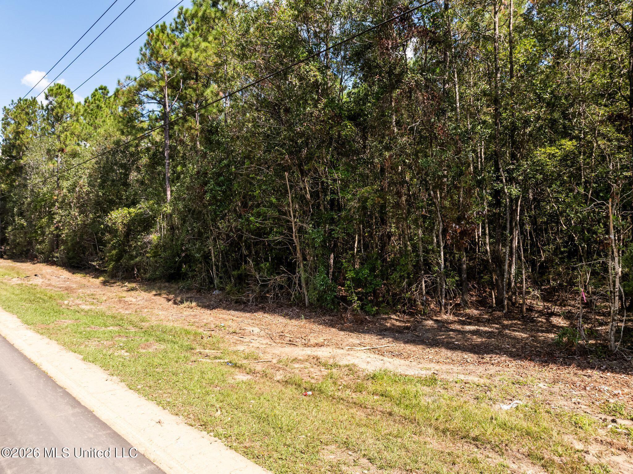 Old Hwy 49 Property Photo 10