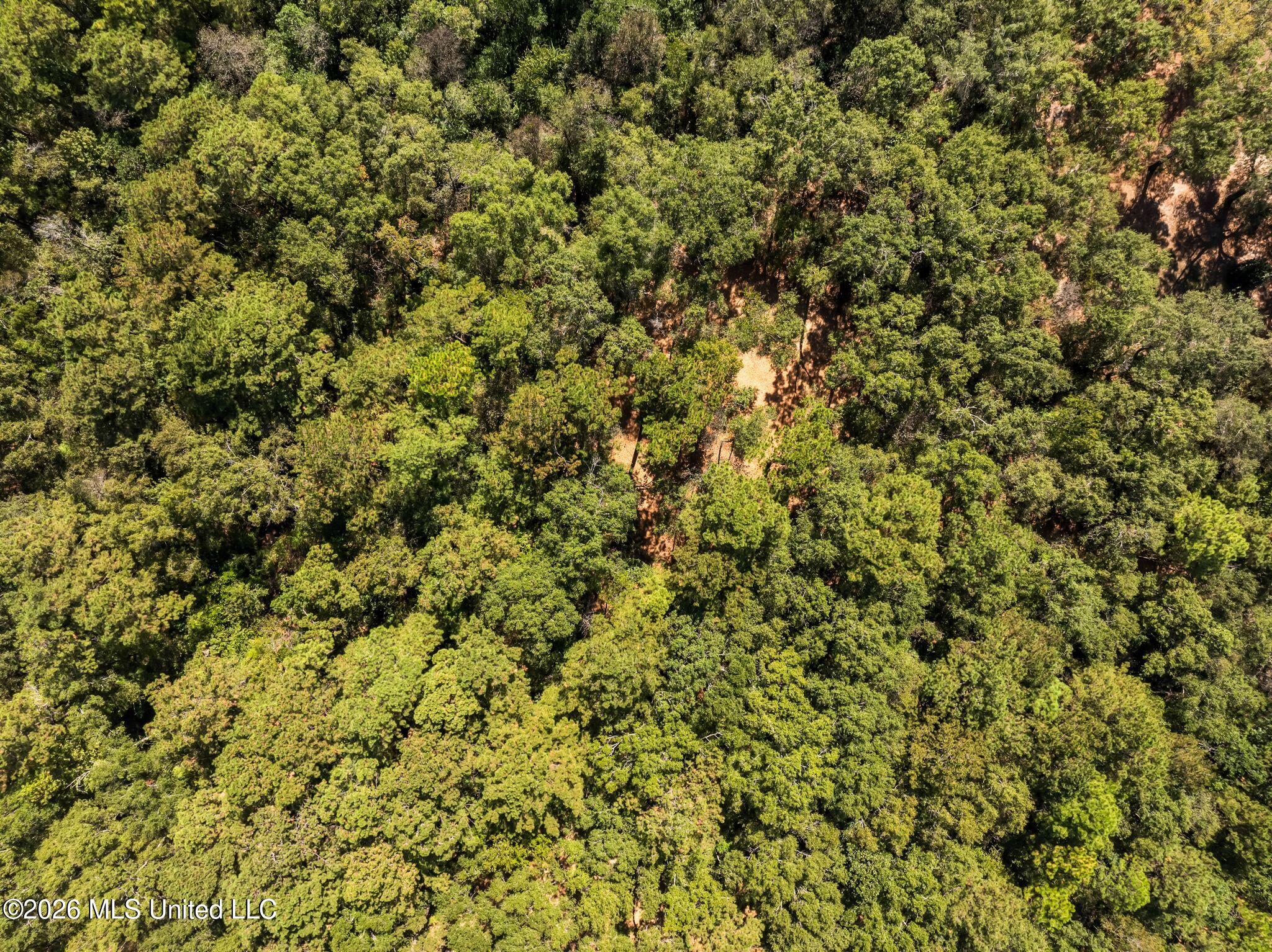 Old Hwy 49 Property Photo 11