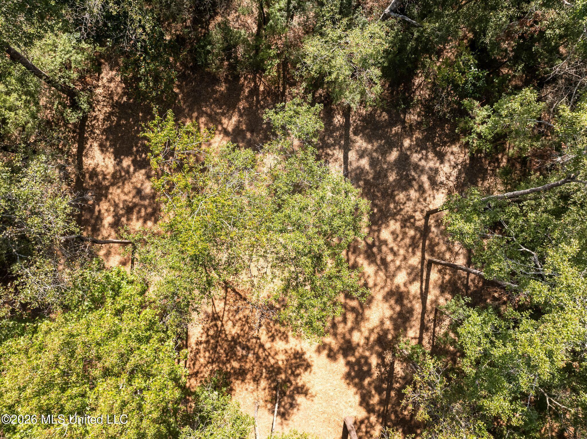 Old Hwy 49 Property Photo 12