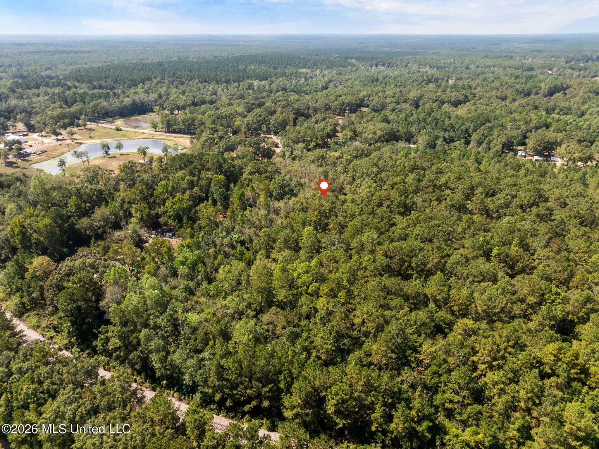 Old Hwy 49 Property Photo 16