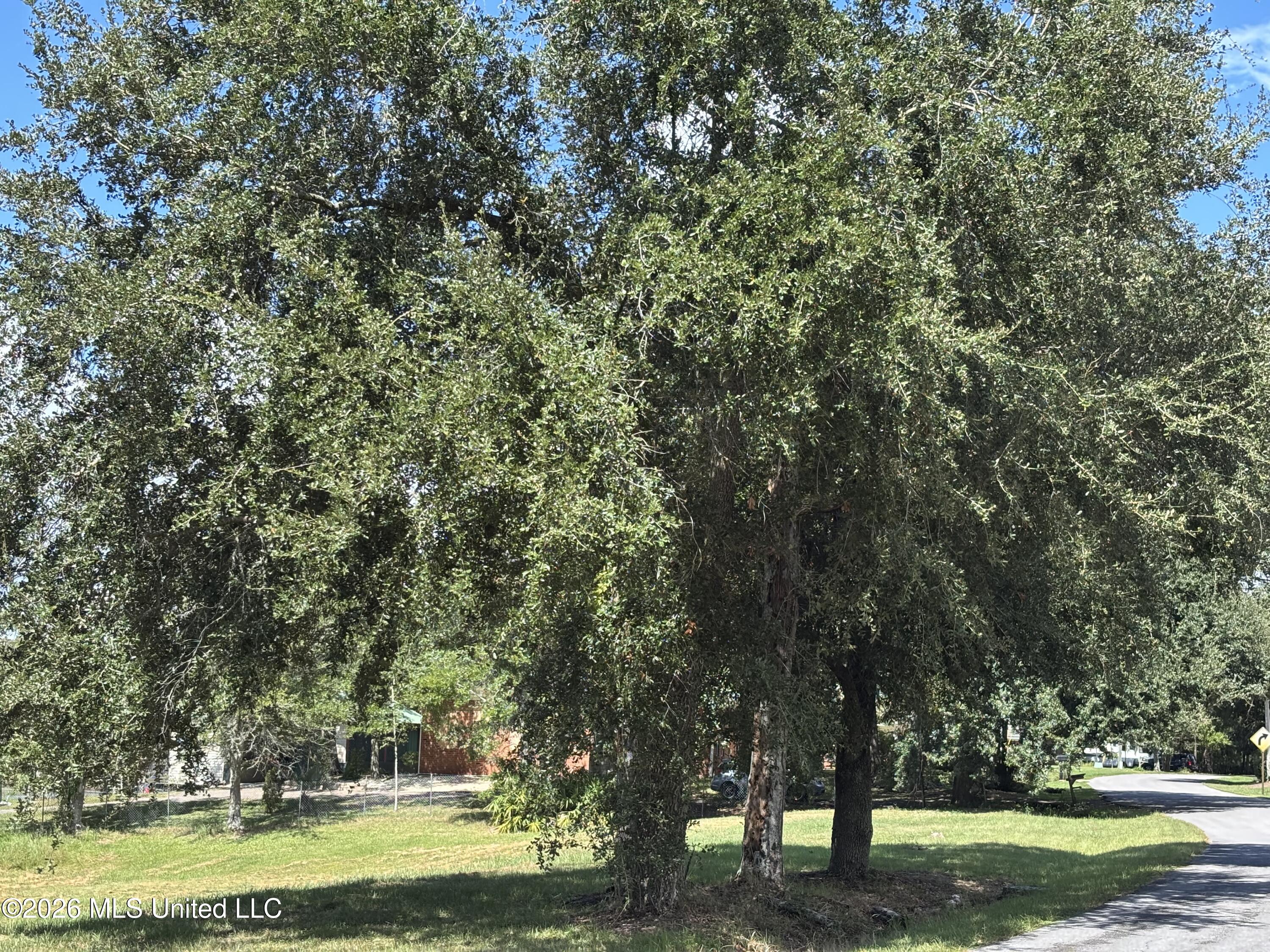 Tradewinds Drive Property Photo 10