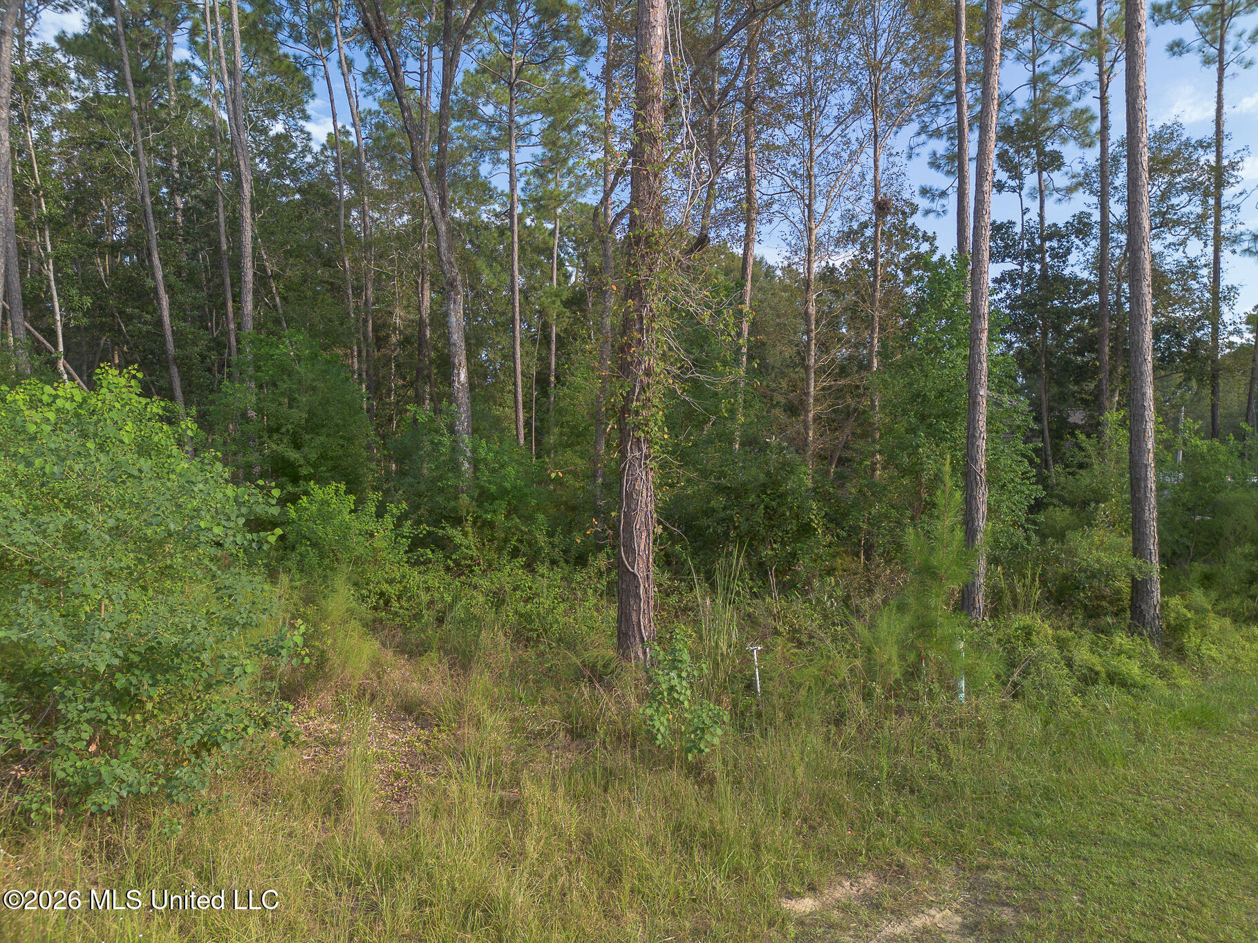 84128 Bayou Drive Property Photo 6