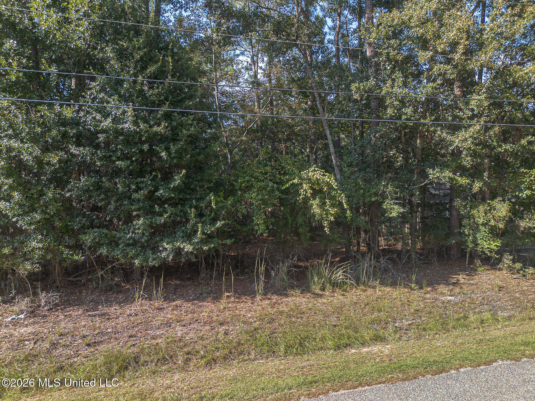 83186 Lola Drive Property Photo 5