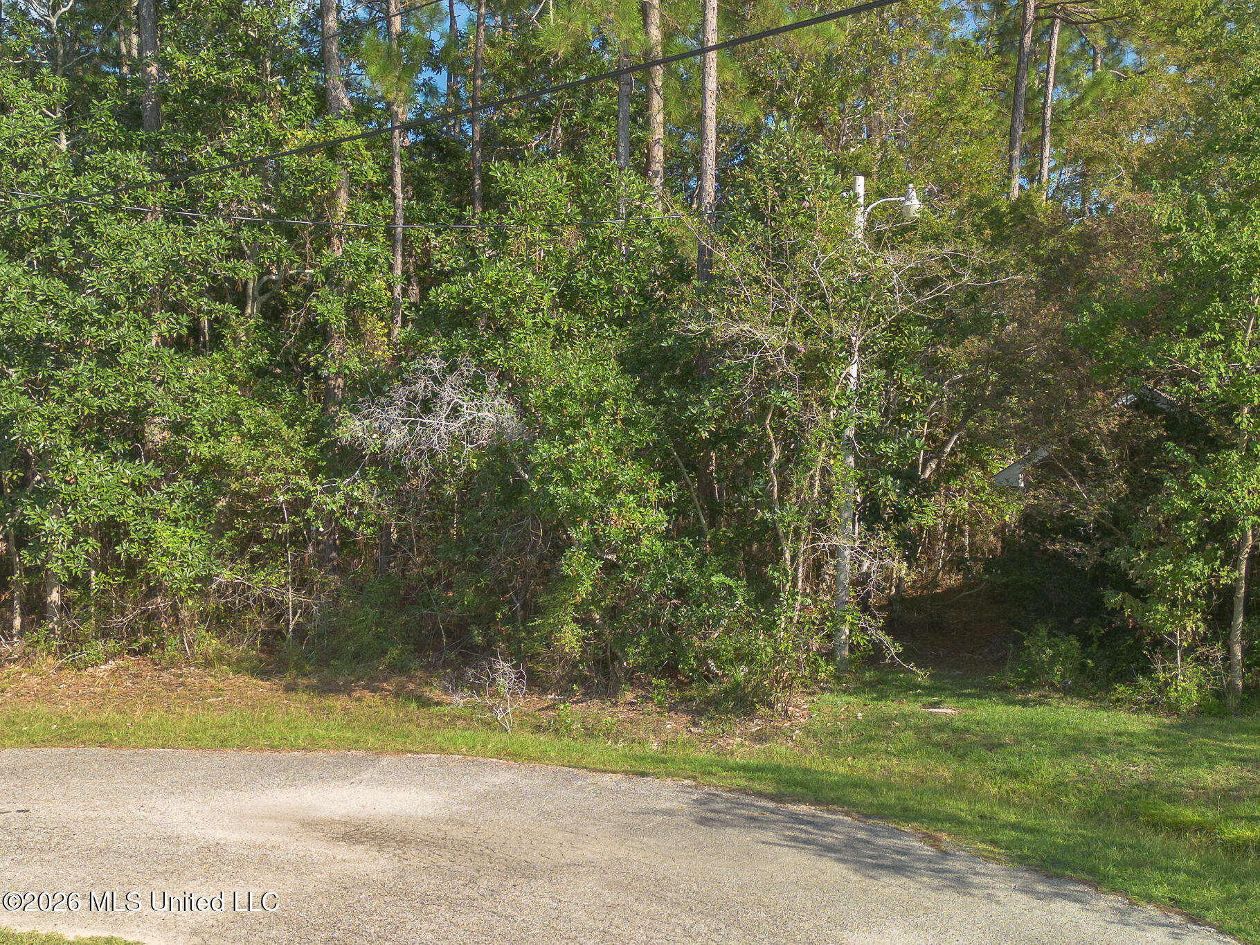 8410 Amoka Court Property Photo 10
