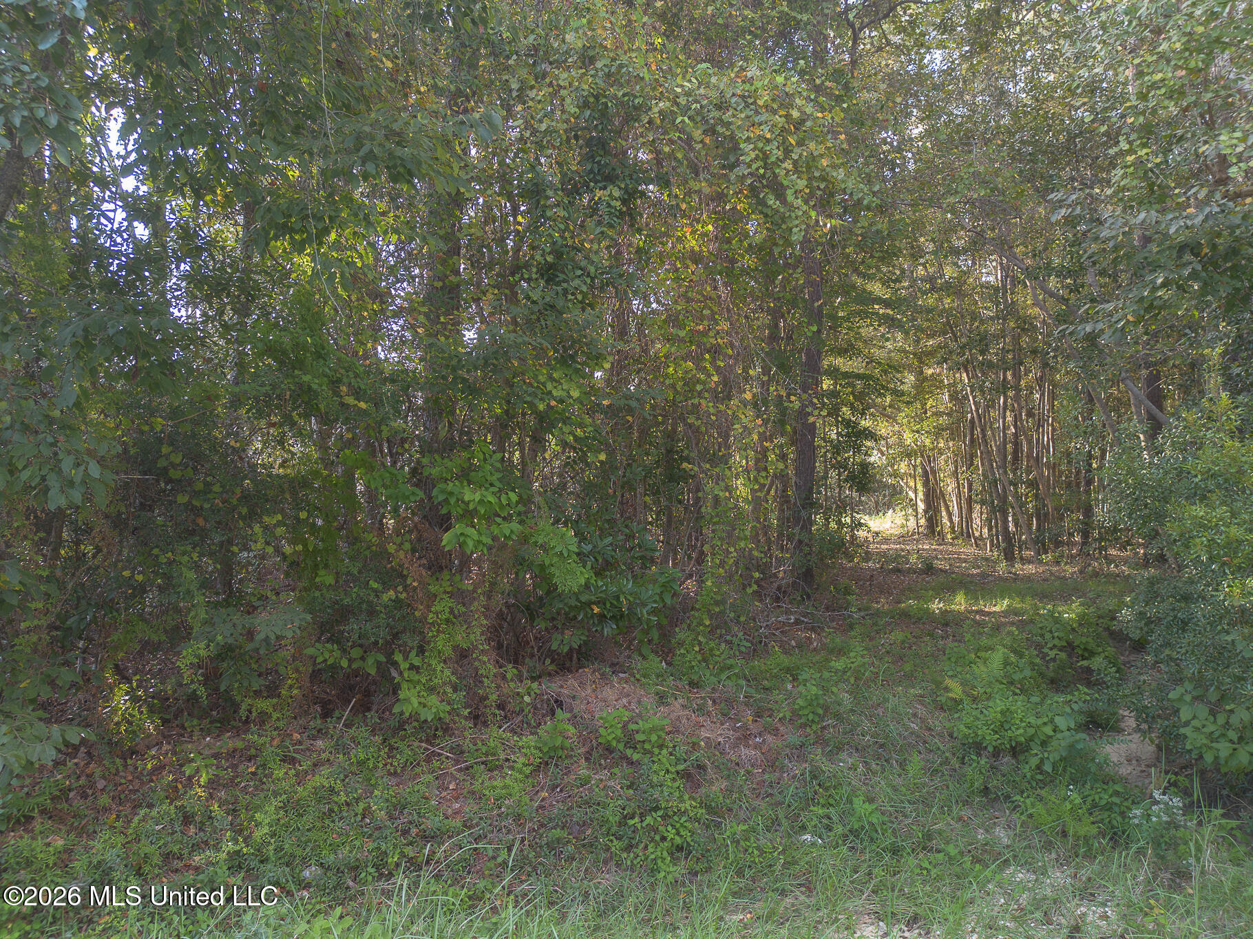 9524 Kale Place Property Photo 1