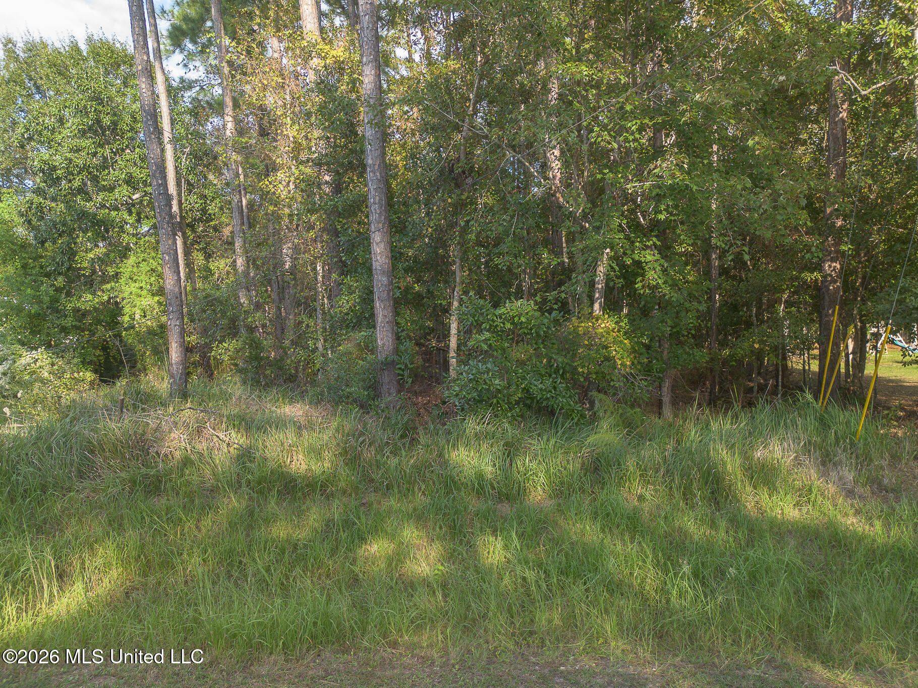 8424 Amoka Place Property Photo 6