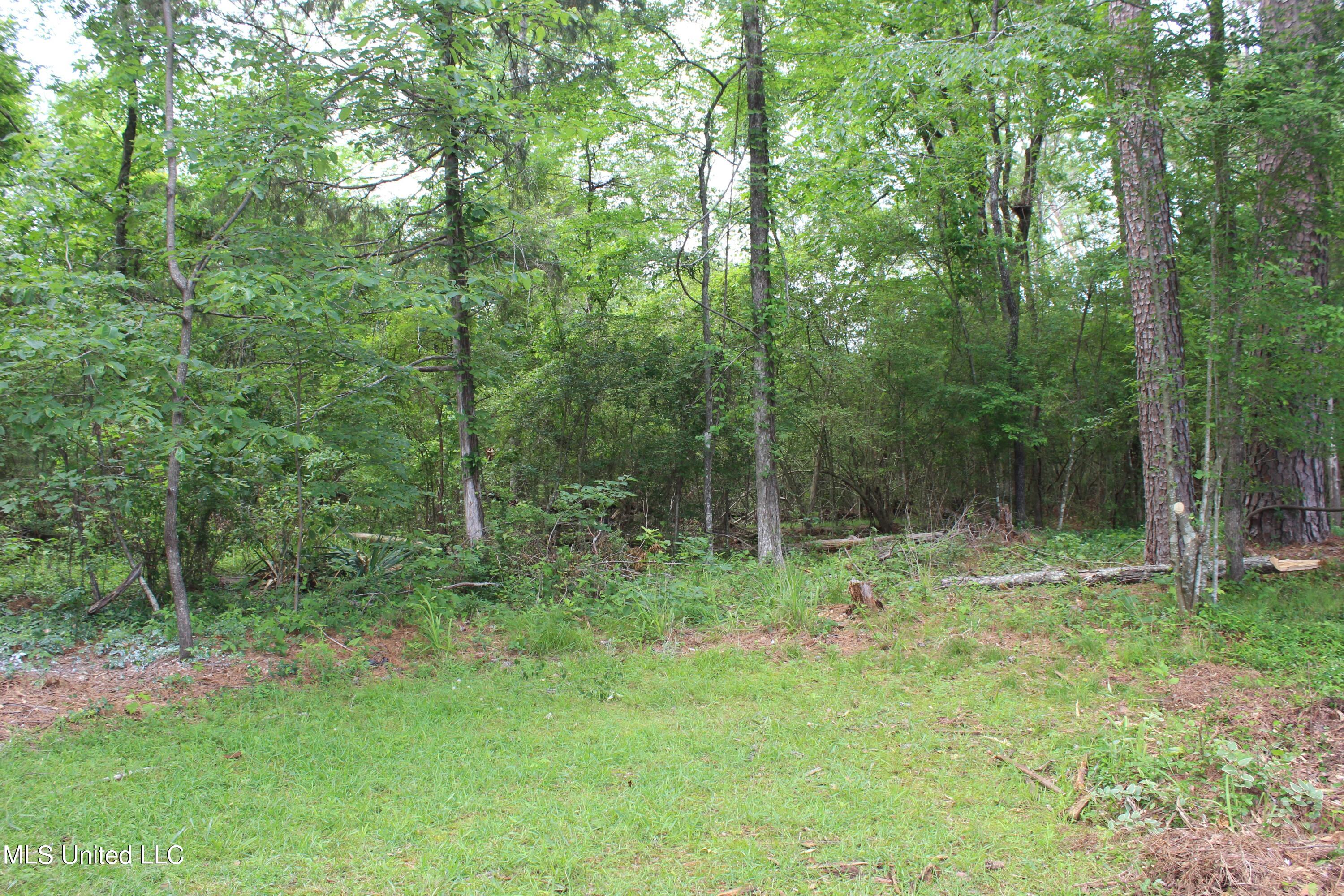13 Mallard Pointe Circle Property Photo 18