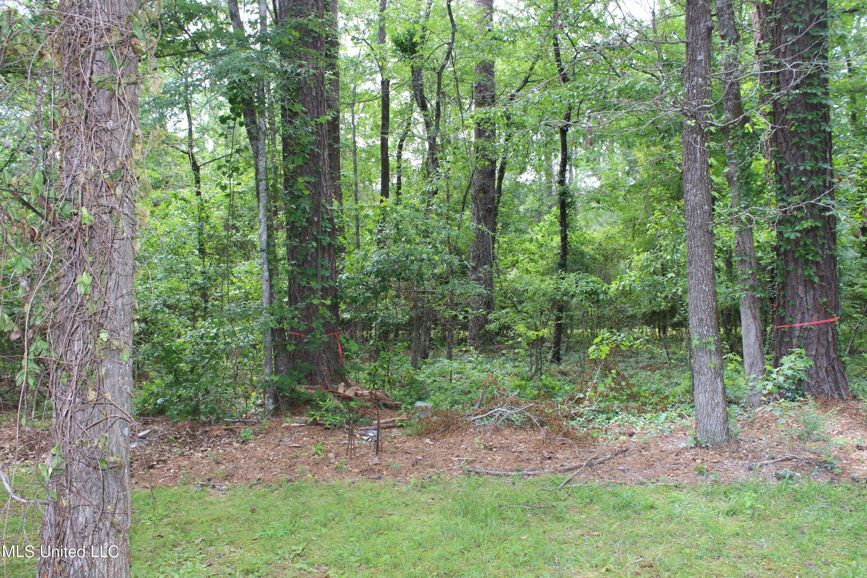 13 Mallard Pointe Circle Property Photo 19