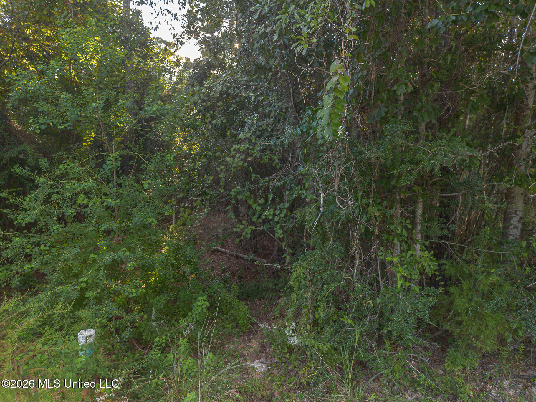 9718 Kino Place Property Photo 2