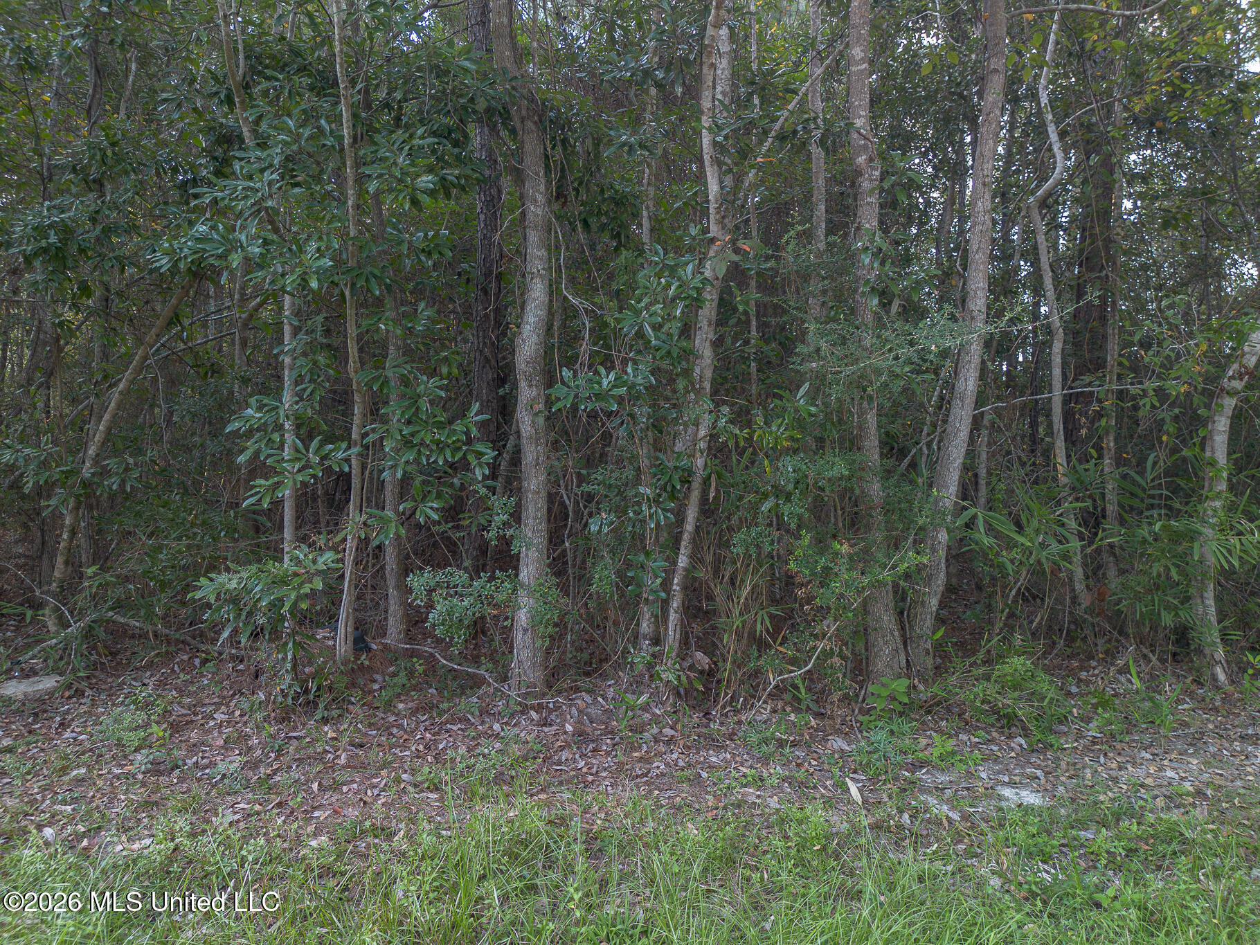 9970 Kahana Street Property Photo 1