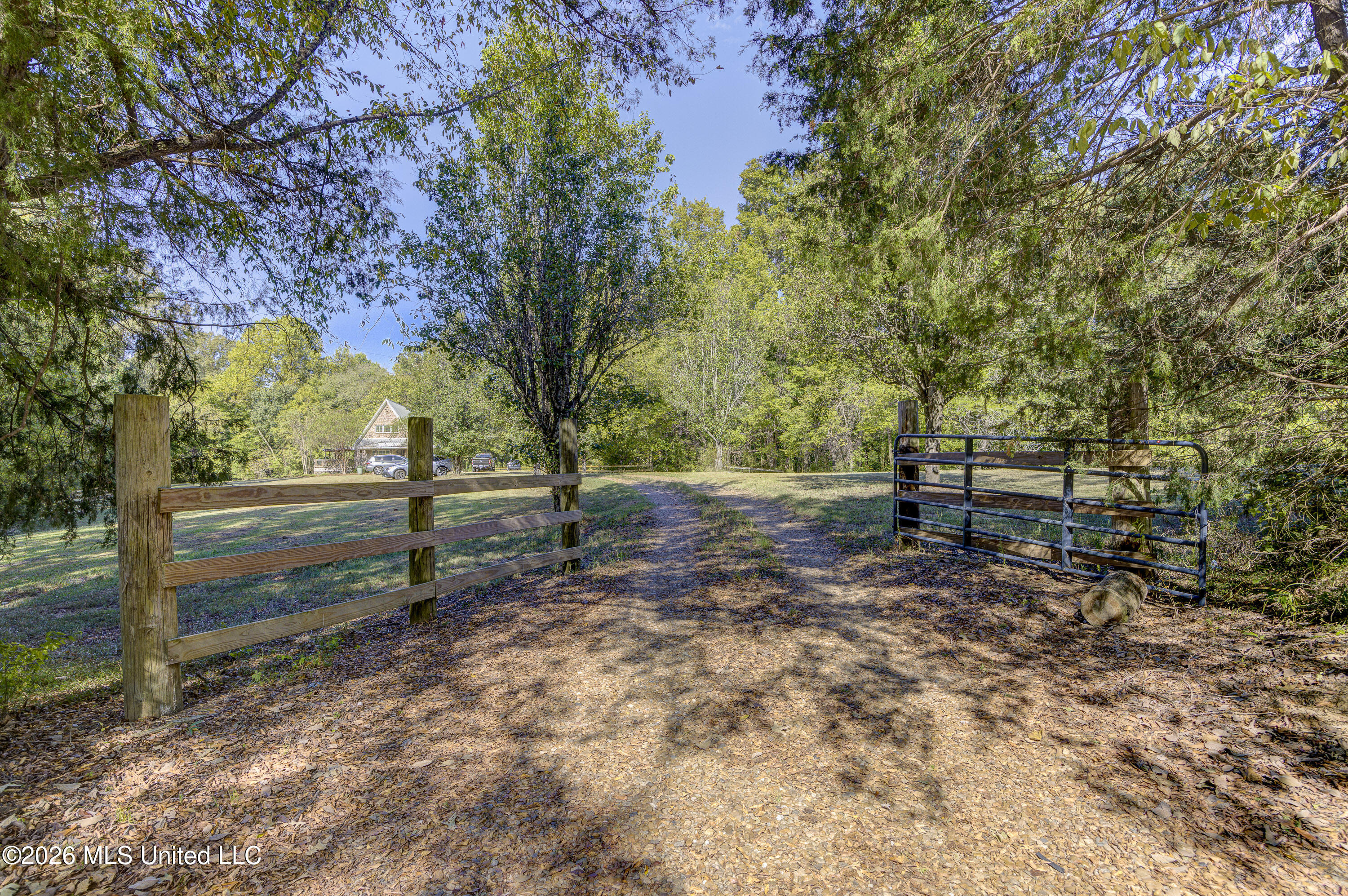 7025 Highway 433 Property Photo 49