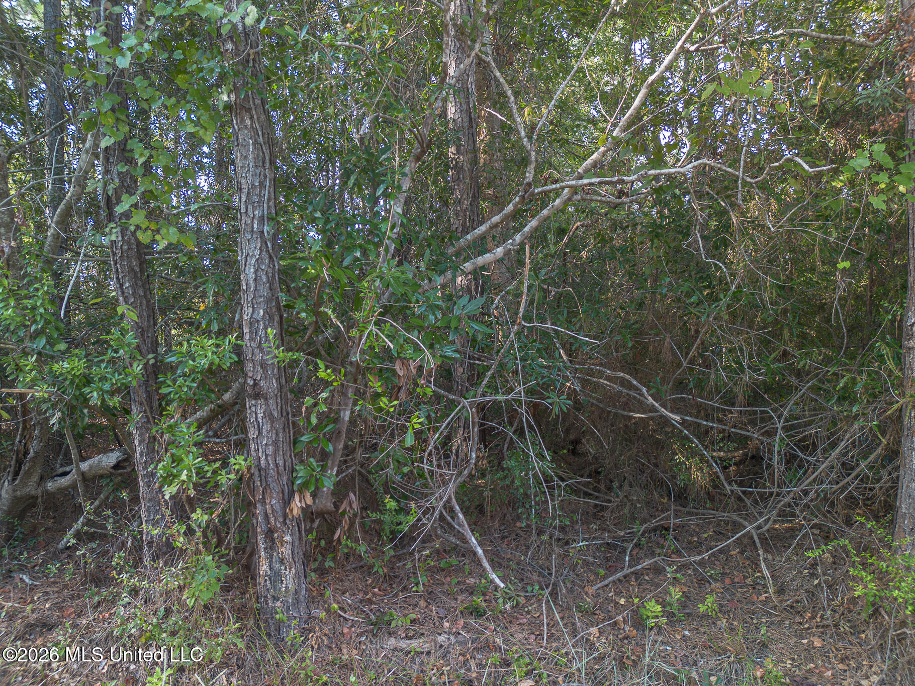 7446 Ieke Drive Property Photo 6