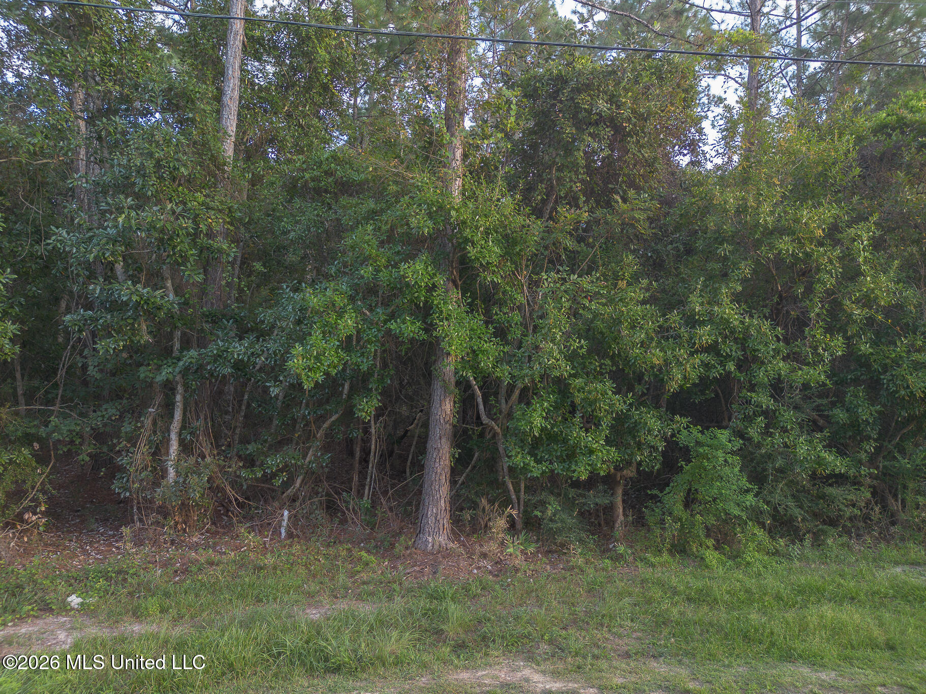 9985 Kahana Street Property Photo 2