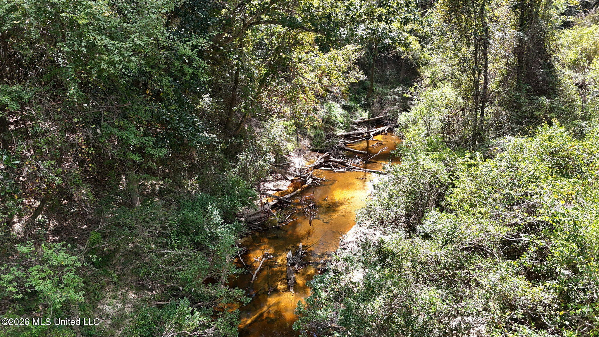 Riverline Drive Property Photo 2