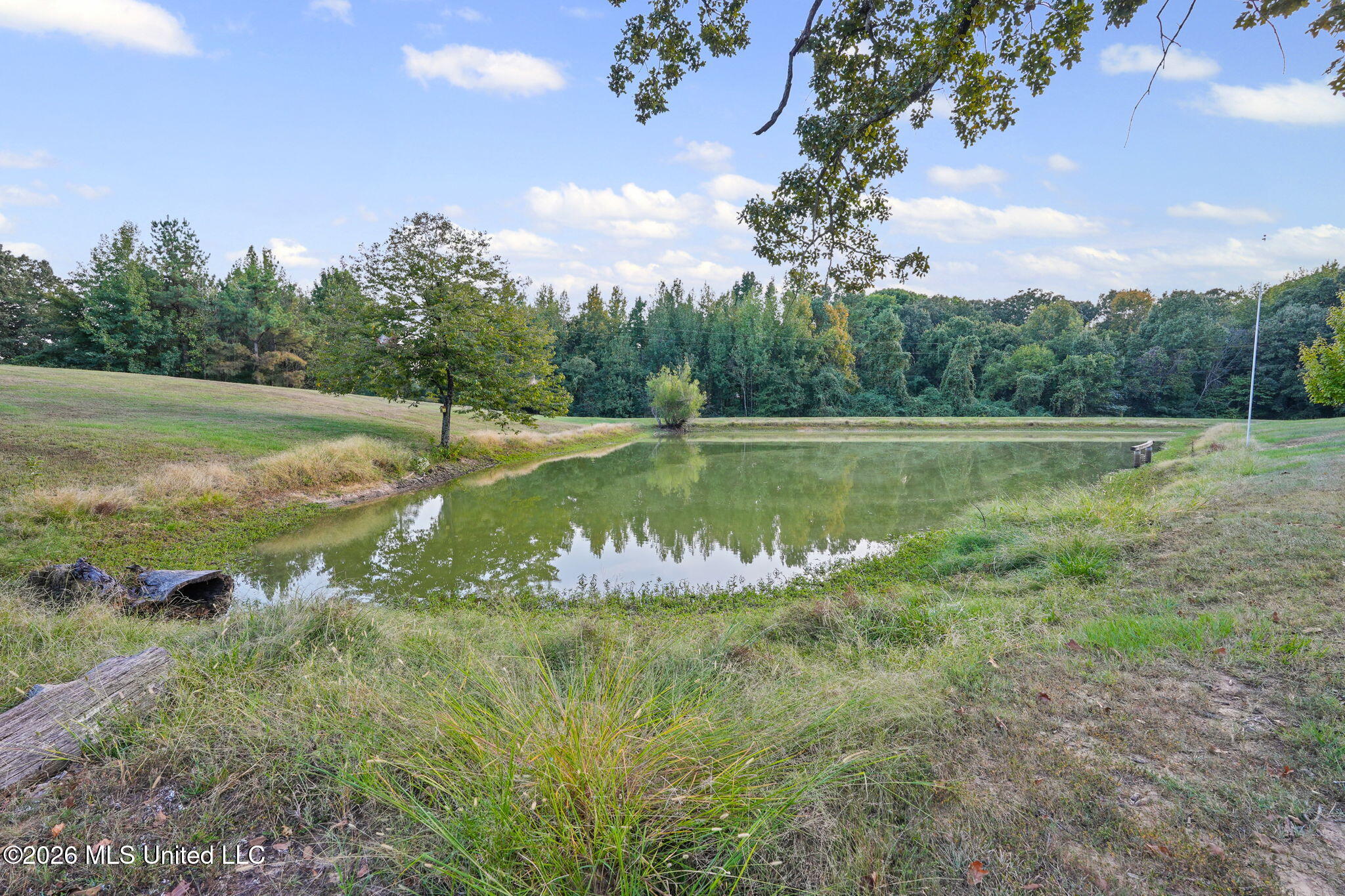 1369 Peavine Road Property Photo 21