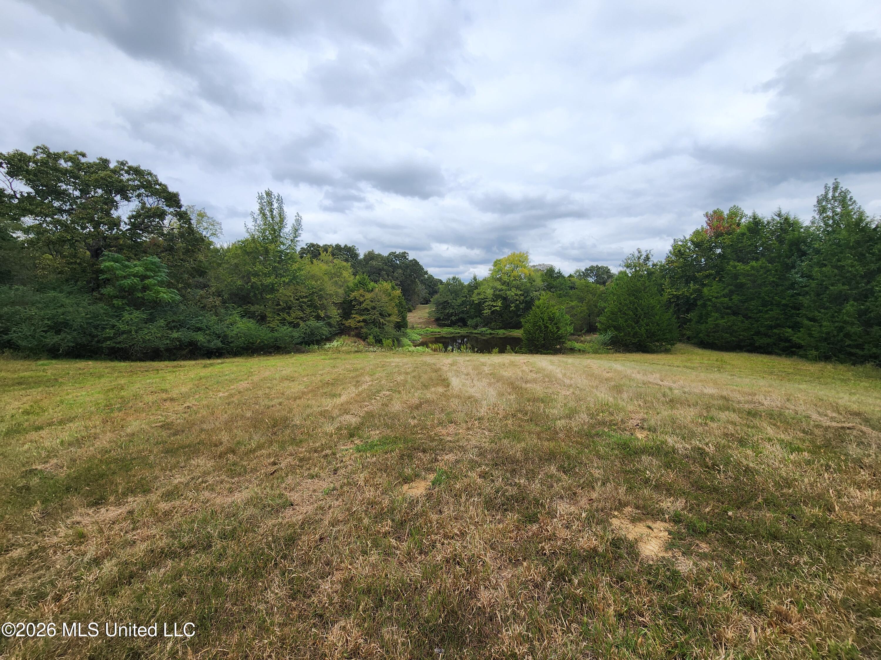 11.26 Bub Jamison Road Property Photo 6