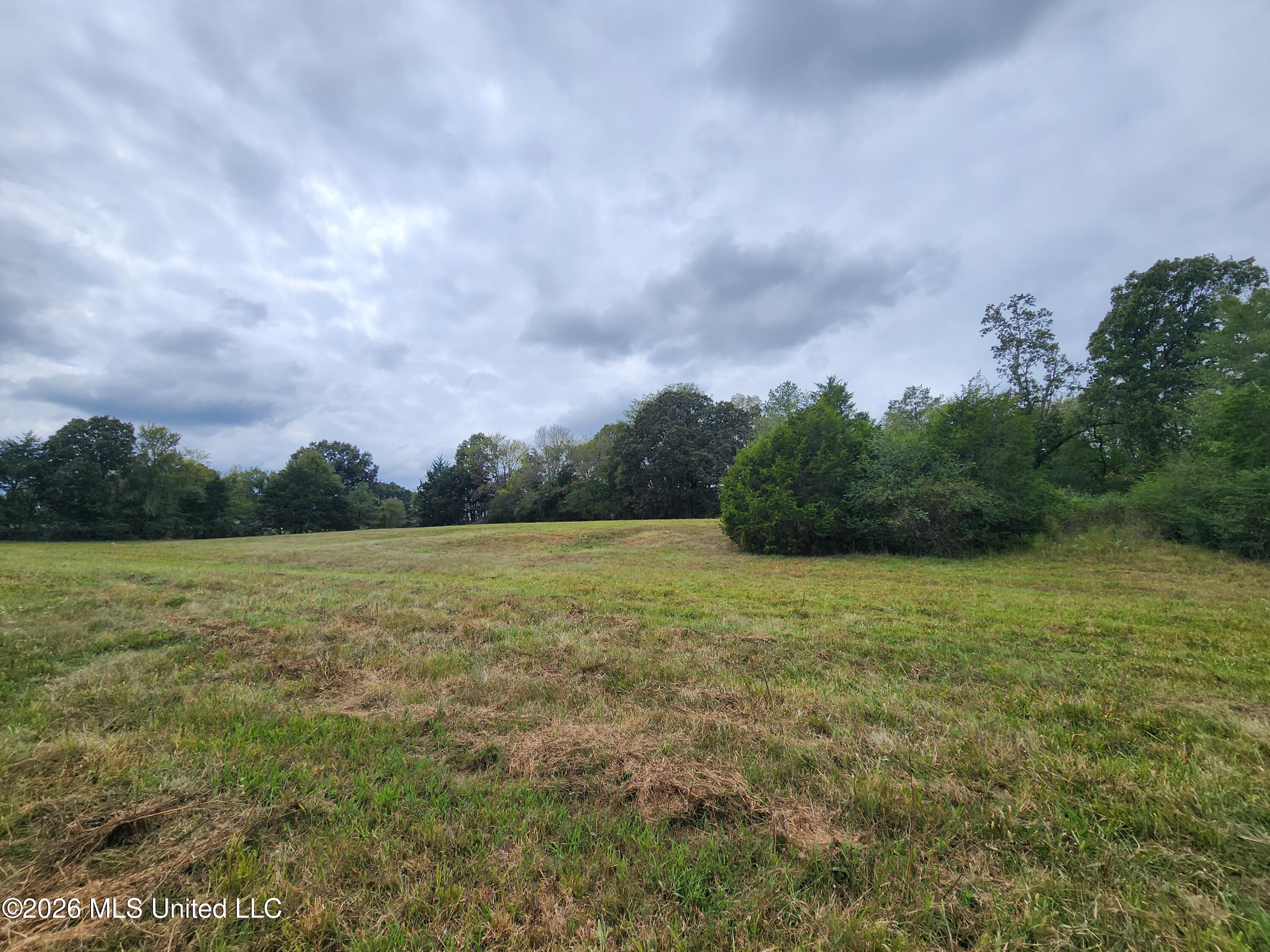 11.26 Bub Jamison Road Property Photo 8