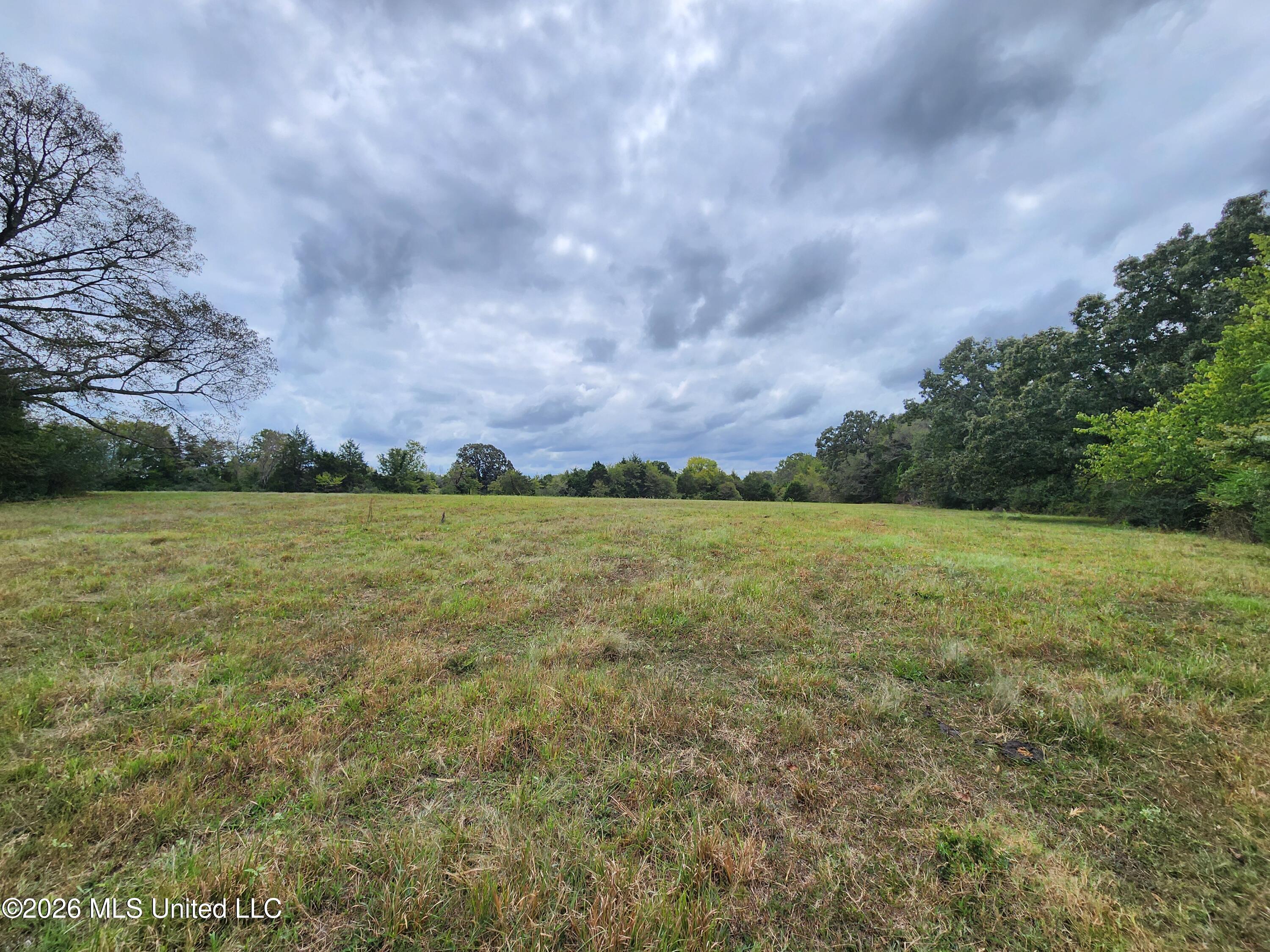 11.26 Bub Jamison Road Property Photo 10
