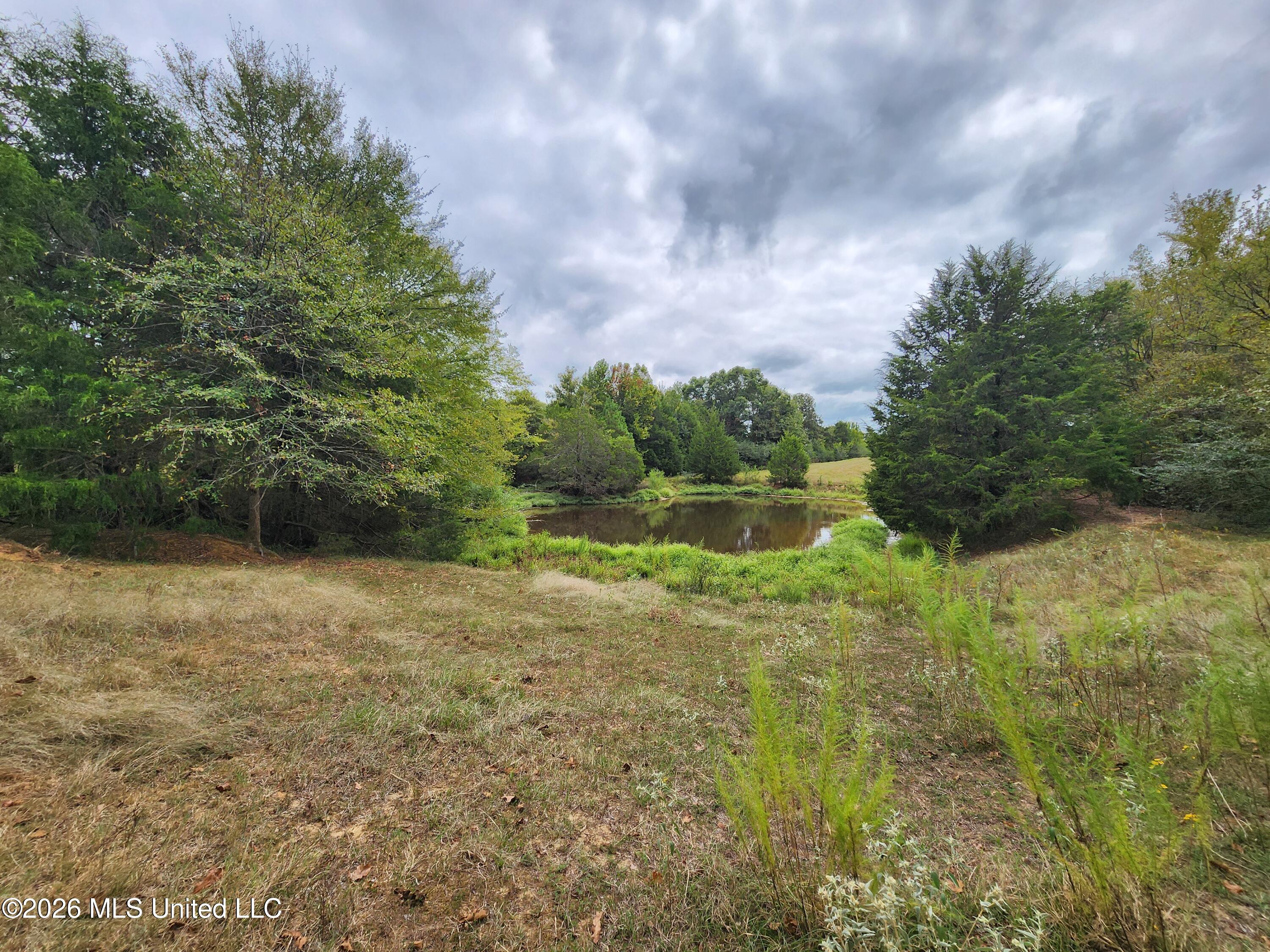 11.26 Bub Jamison Road Property Photo 11