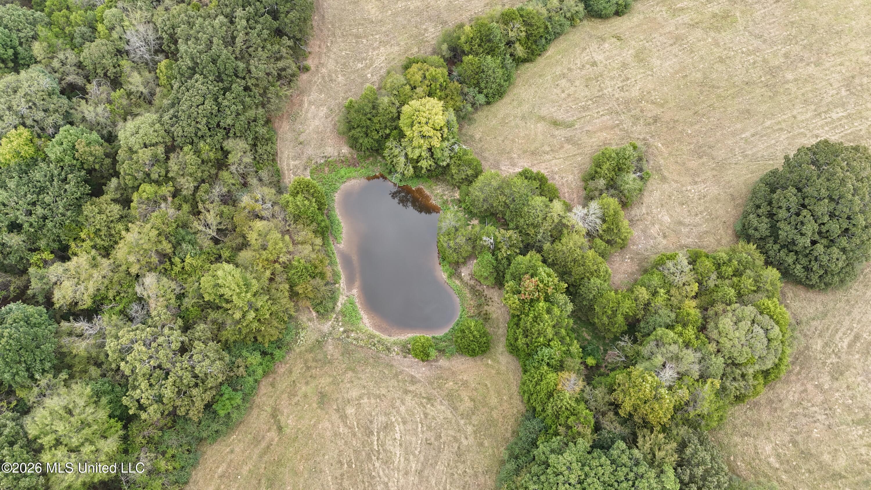 11.26 Bub Jamison Road Property Photo 15