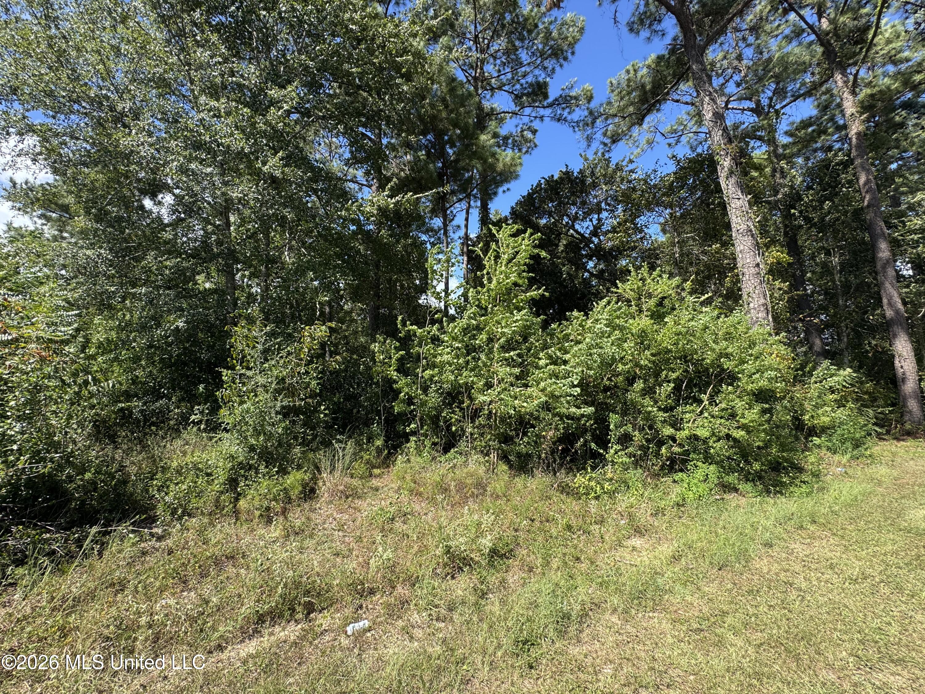 Veterans Drive Property Photo 2