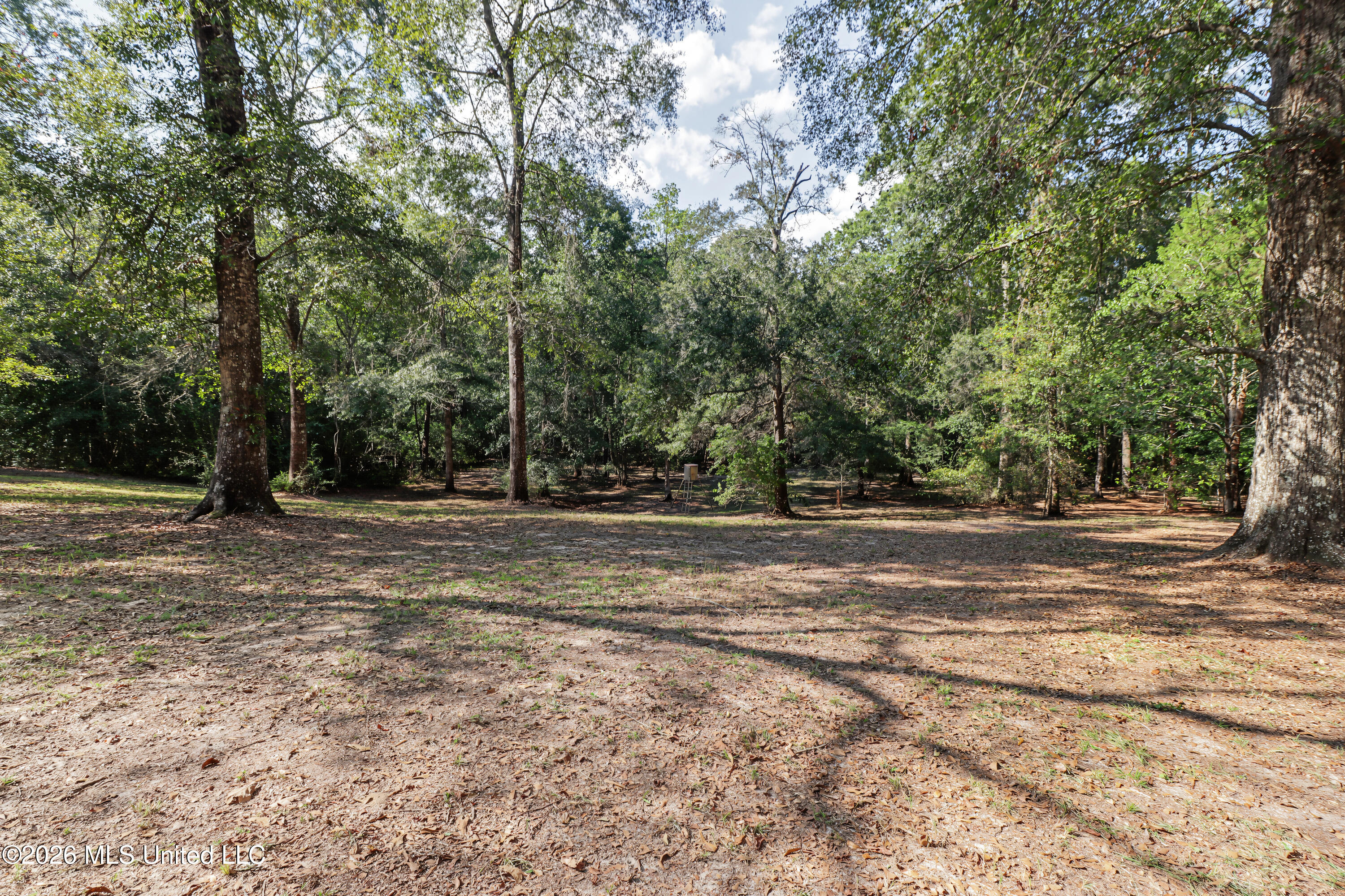 41 Ollie Reeves Road Property Photo 4