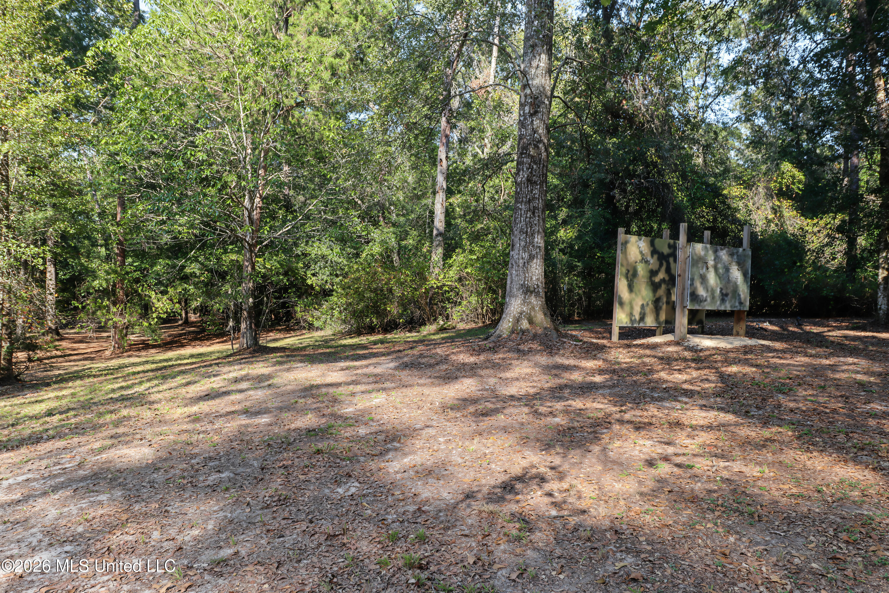 41 Ollie Reeves Road Property Photo 5