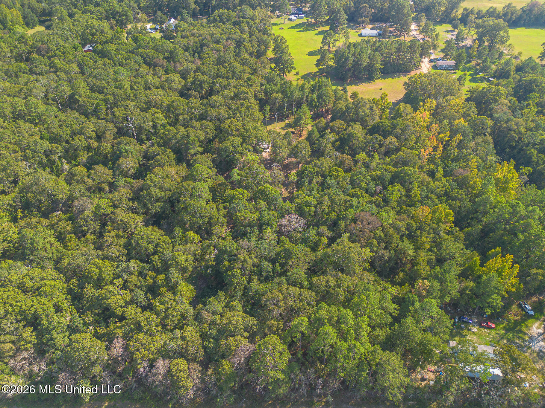 41 Ollie Reeves Road Property Photo 14