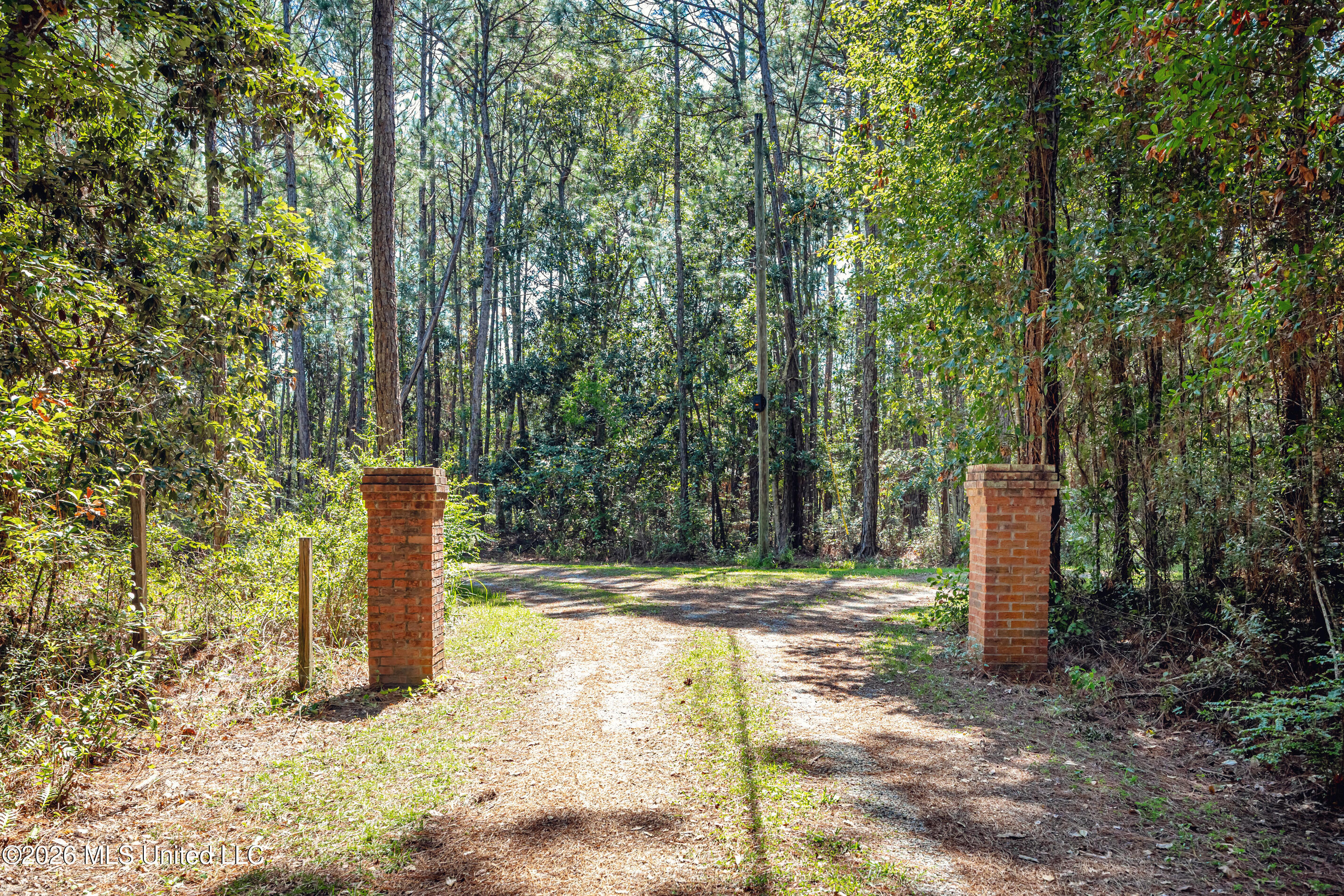 8699 Old Ccc Camp Road Property Photo 3
