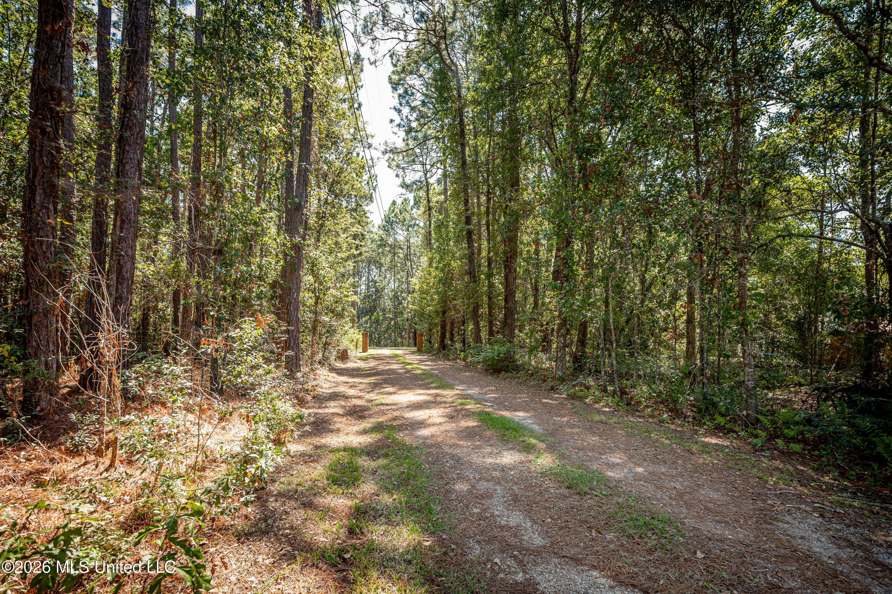 8699 Old Ccc Camp Road Property Photo 4