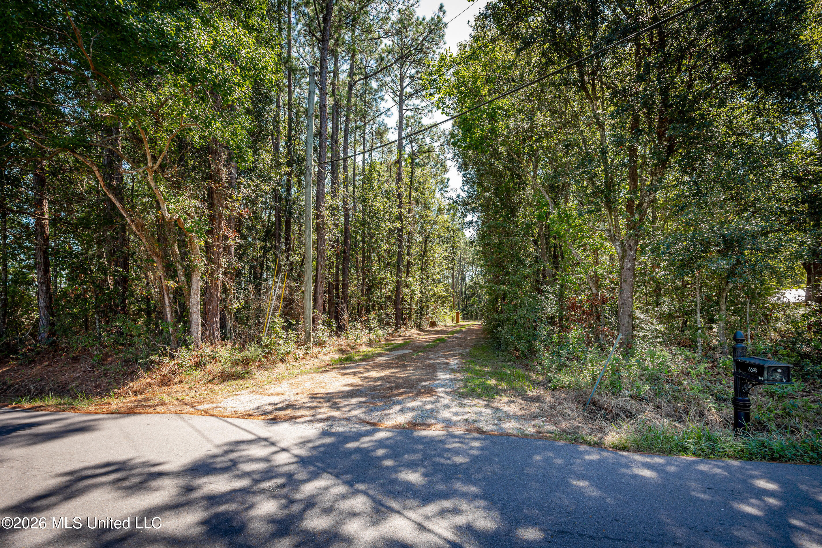 8699 Old Ccc Camp Road Property Photo 5