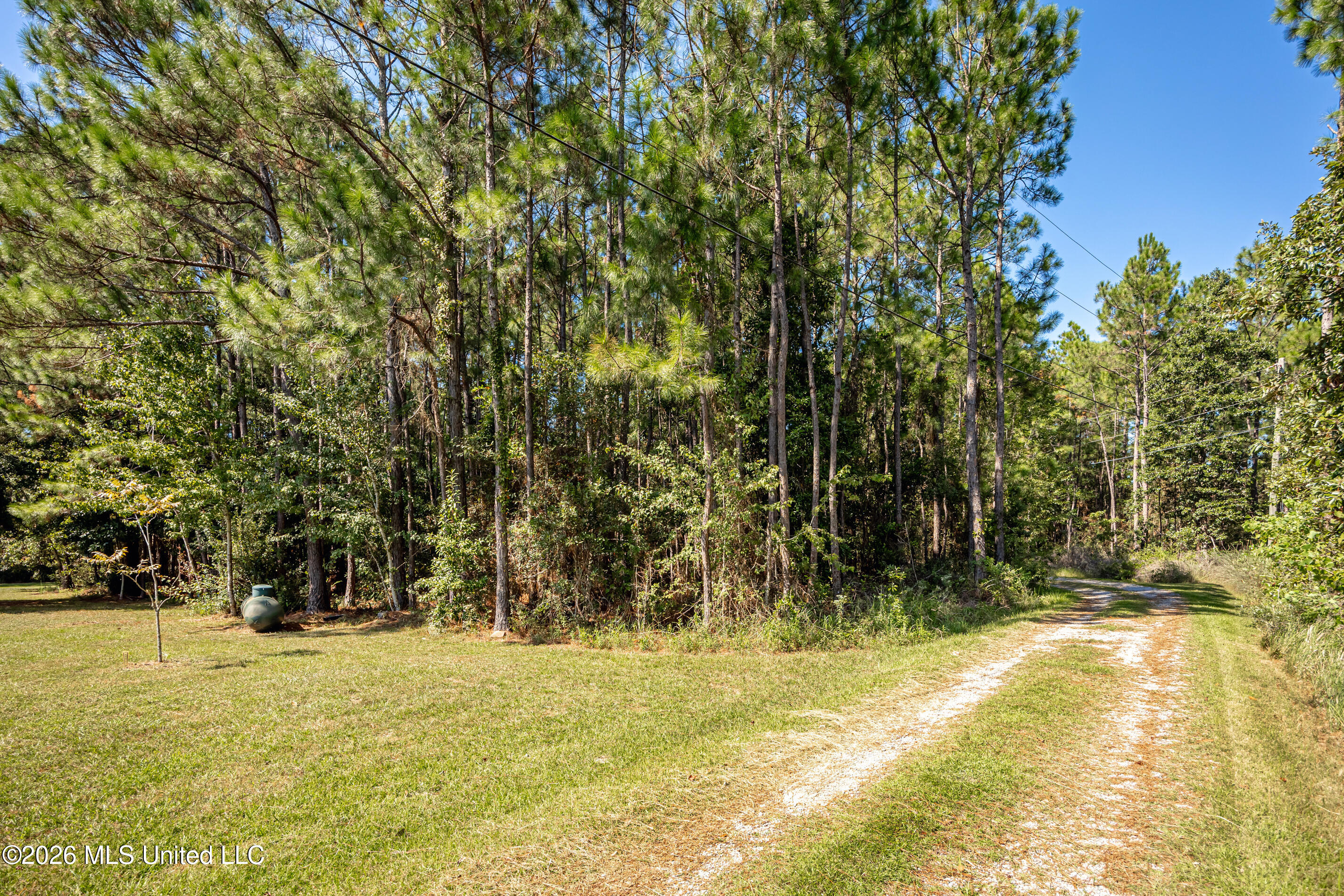 8699 Old Ccc Camp Road Property Photo 57