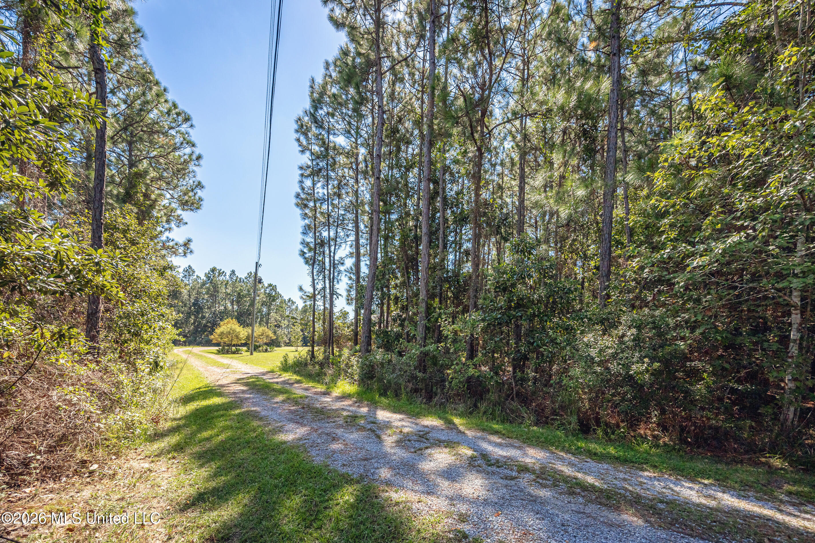 8699 Old Ccc Camp Road Property Photo 59