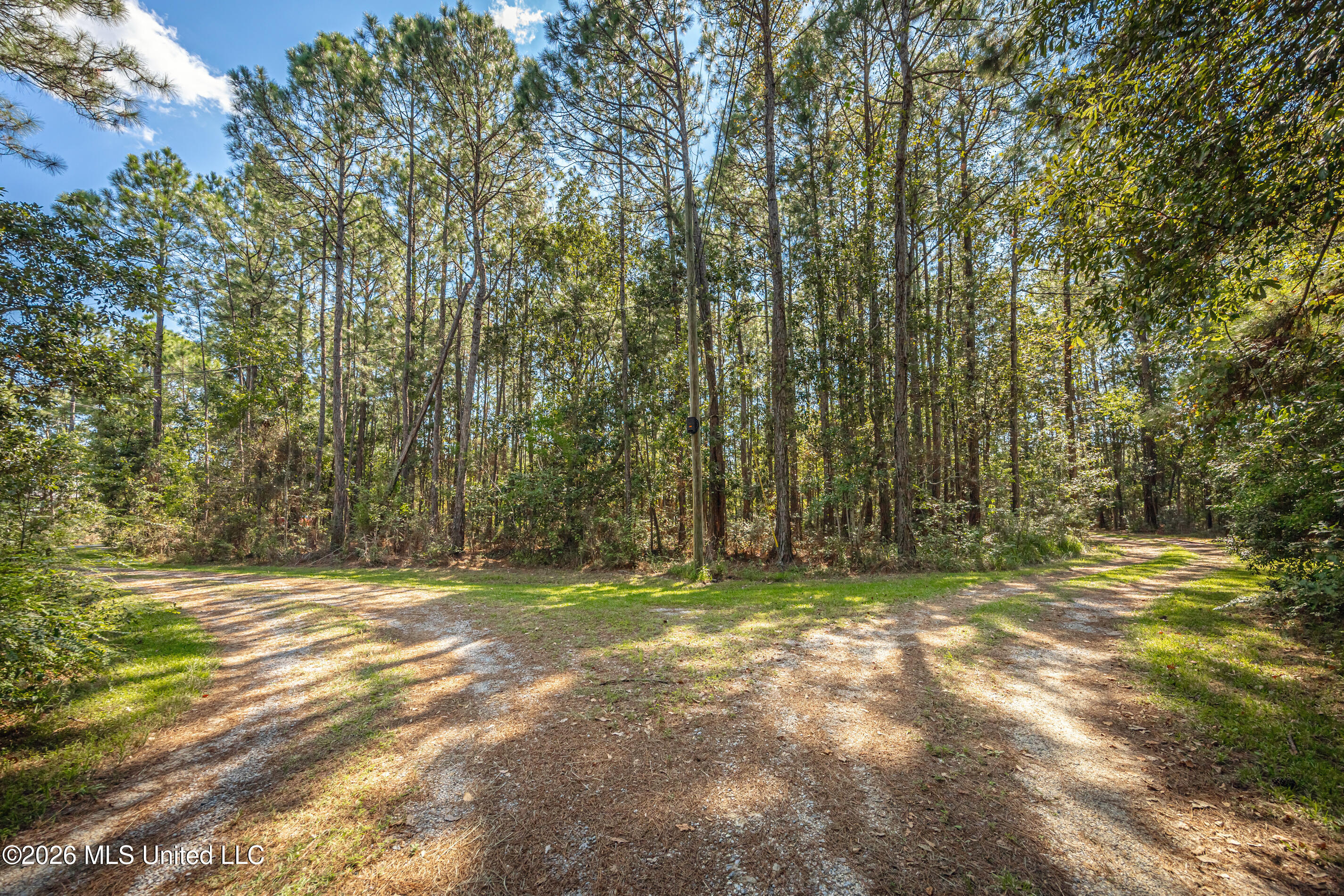 8699 Old Ccc Camp Road Property Photo 61