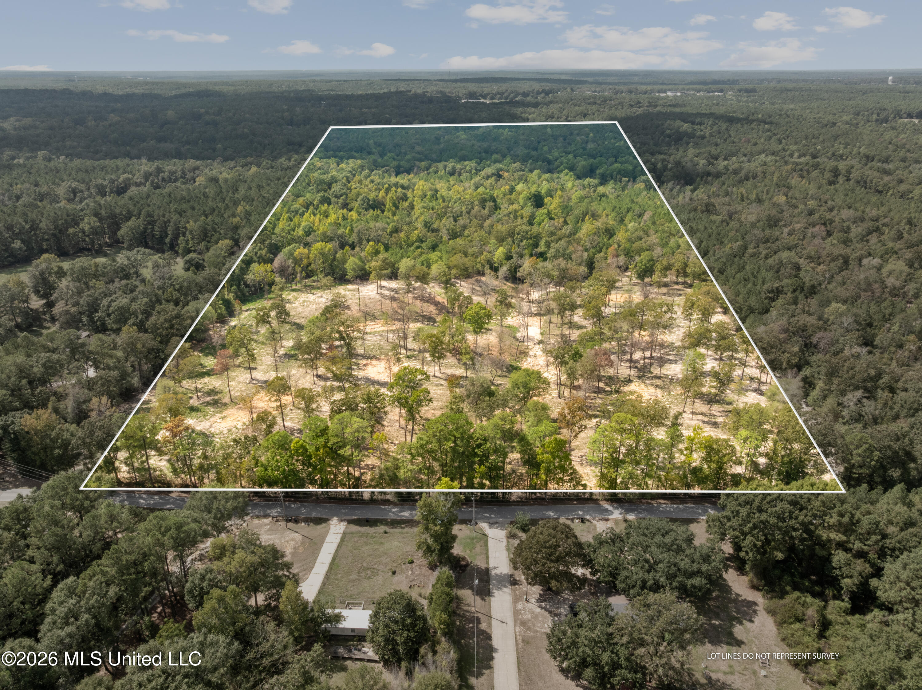 Bonhomie Road Property Photo 1