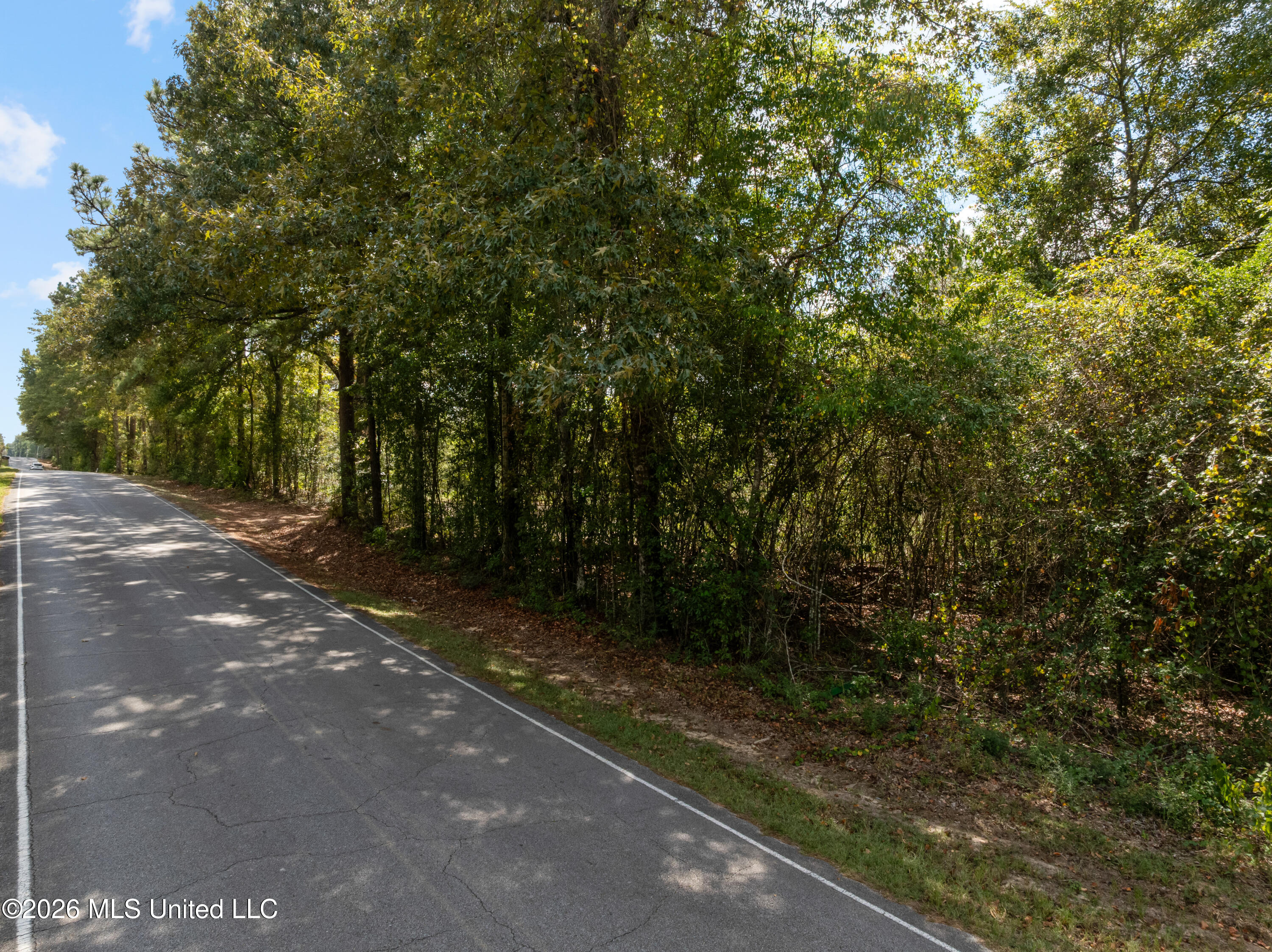 Bonhomie Road Property Photo 8
