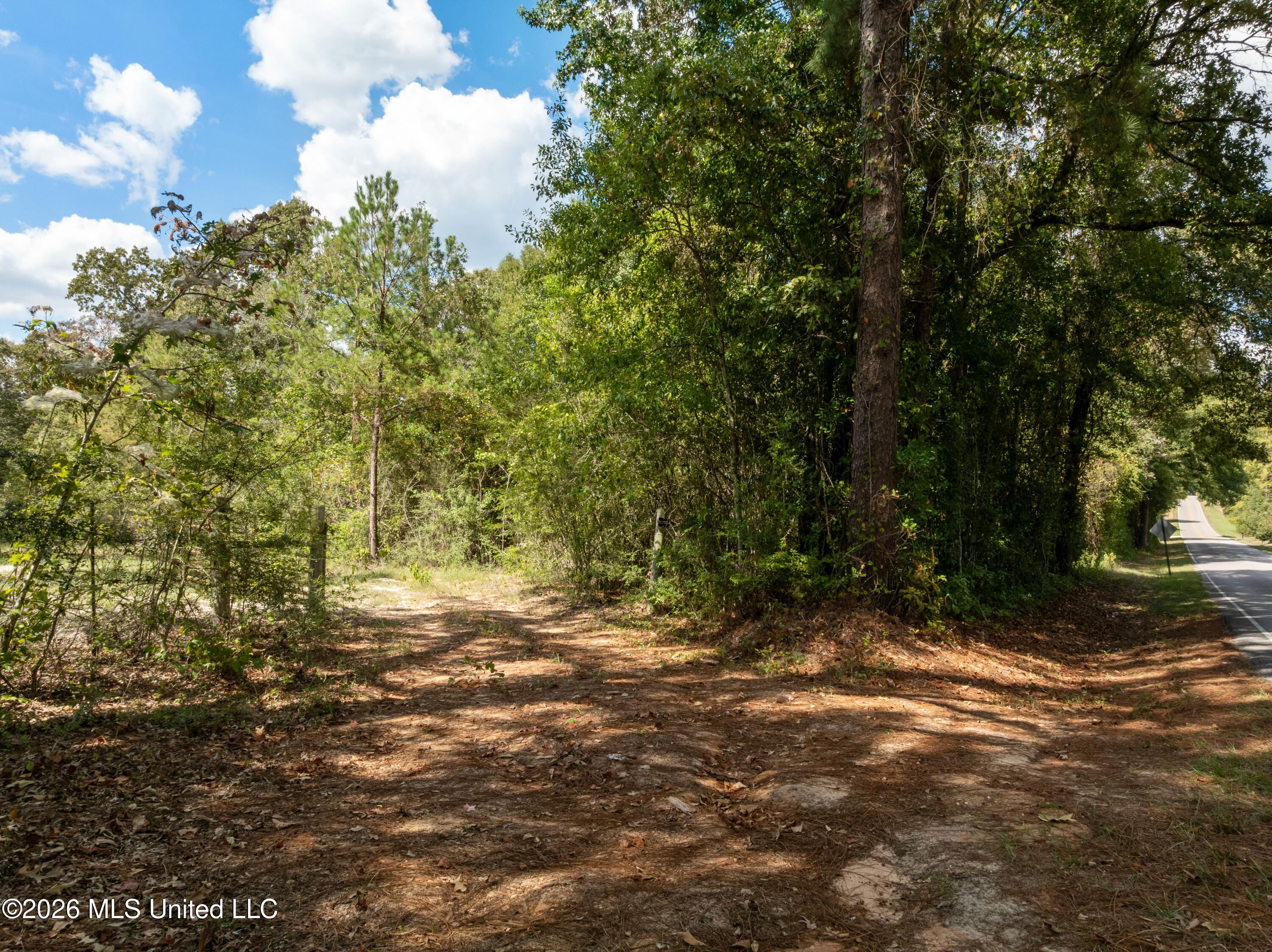 Bonhomie Road Property Photo 9