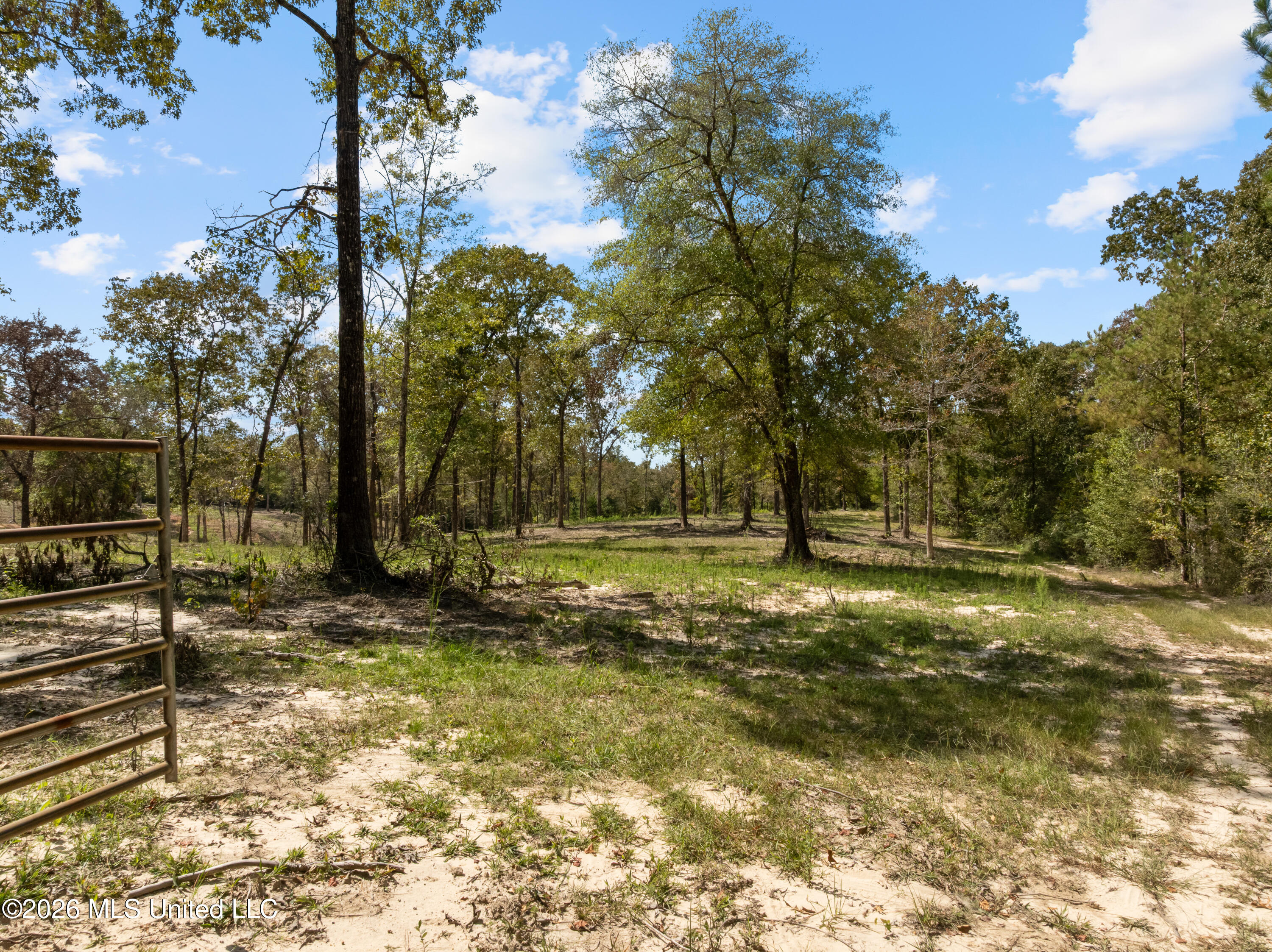 Bonhomie Road Property Photo 10