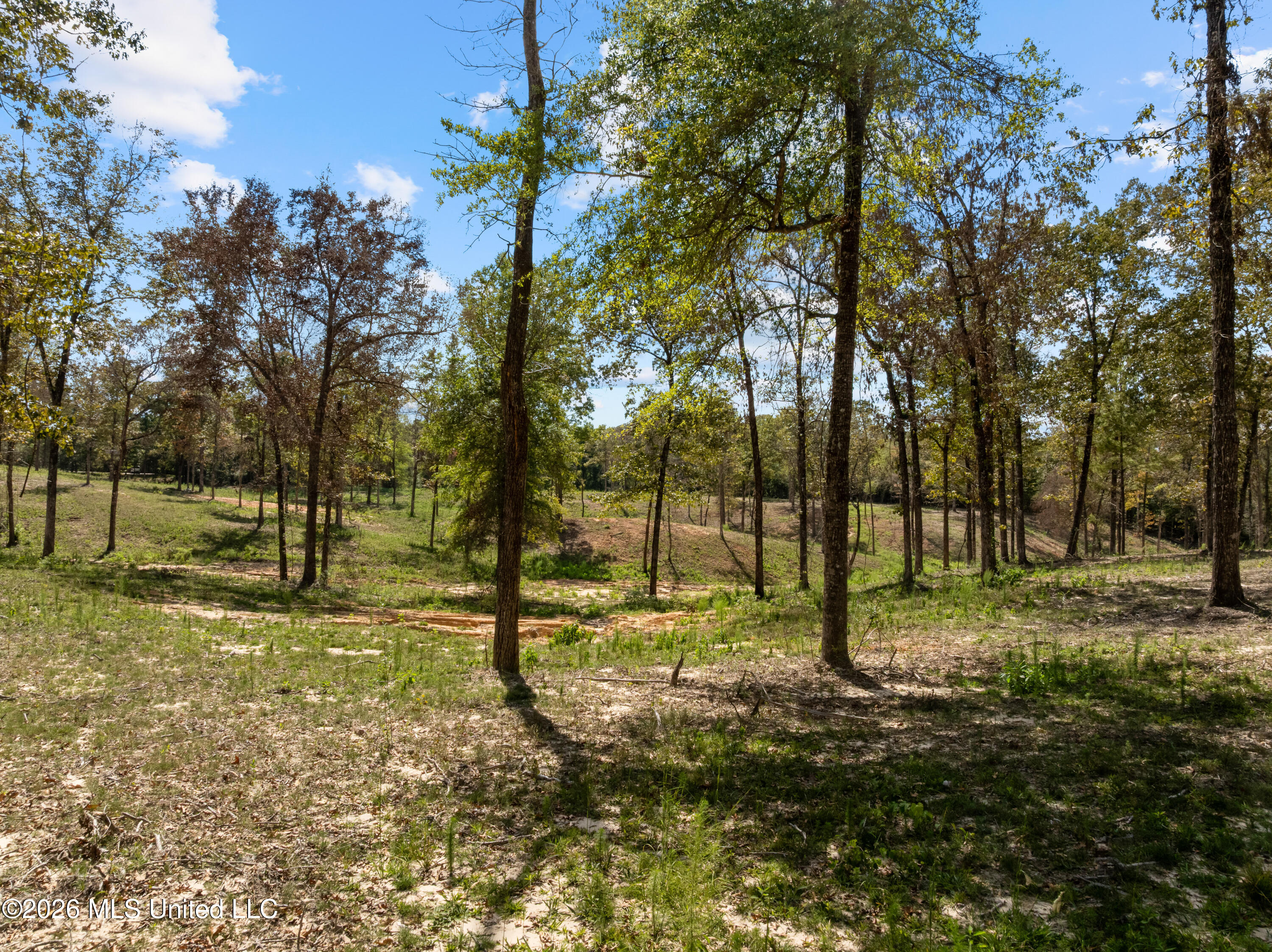 Bonhomie Road Property Photo 11